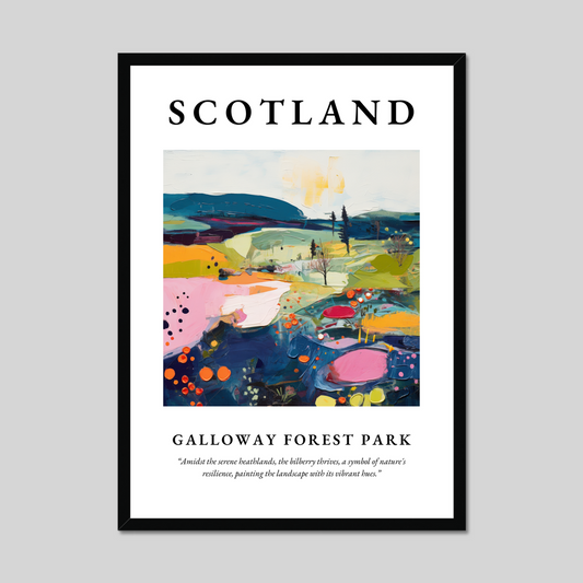 Poster of Galloway Forest Park, Scotland.