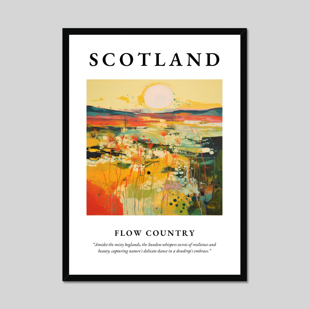 Poster of Flow Country, Scotland.