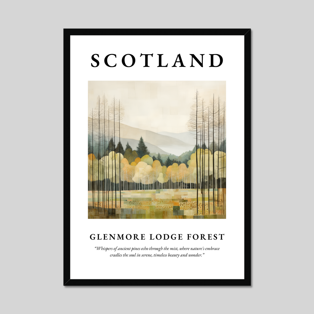 Poster of Glenmore Lodge Forest, Scotland.