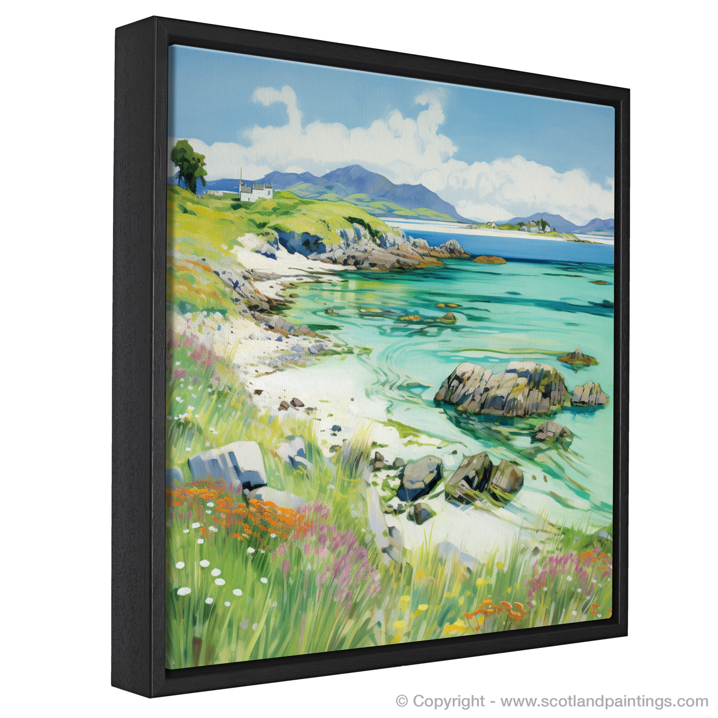 Painting and Art Print of Isle of Iona, Inner Hebrides in summer entitled "Summer Fervour on the Isle of Iona".