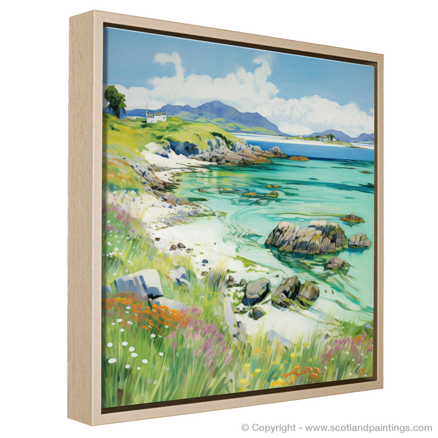 Painting and Art Print of Isle of Iona, Inner Hebrides in summer entitled "Summer Fervour on the Isle of Iona".