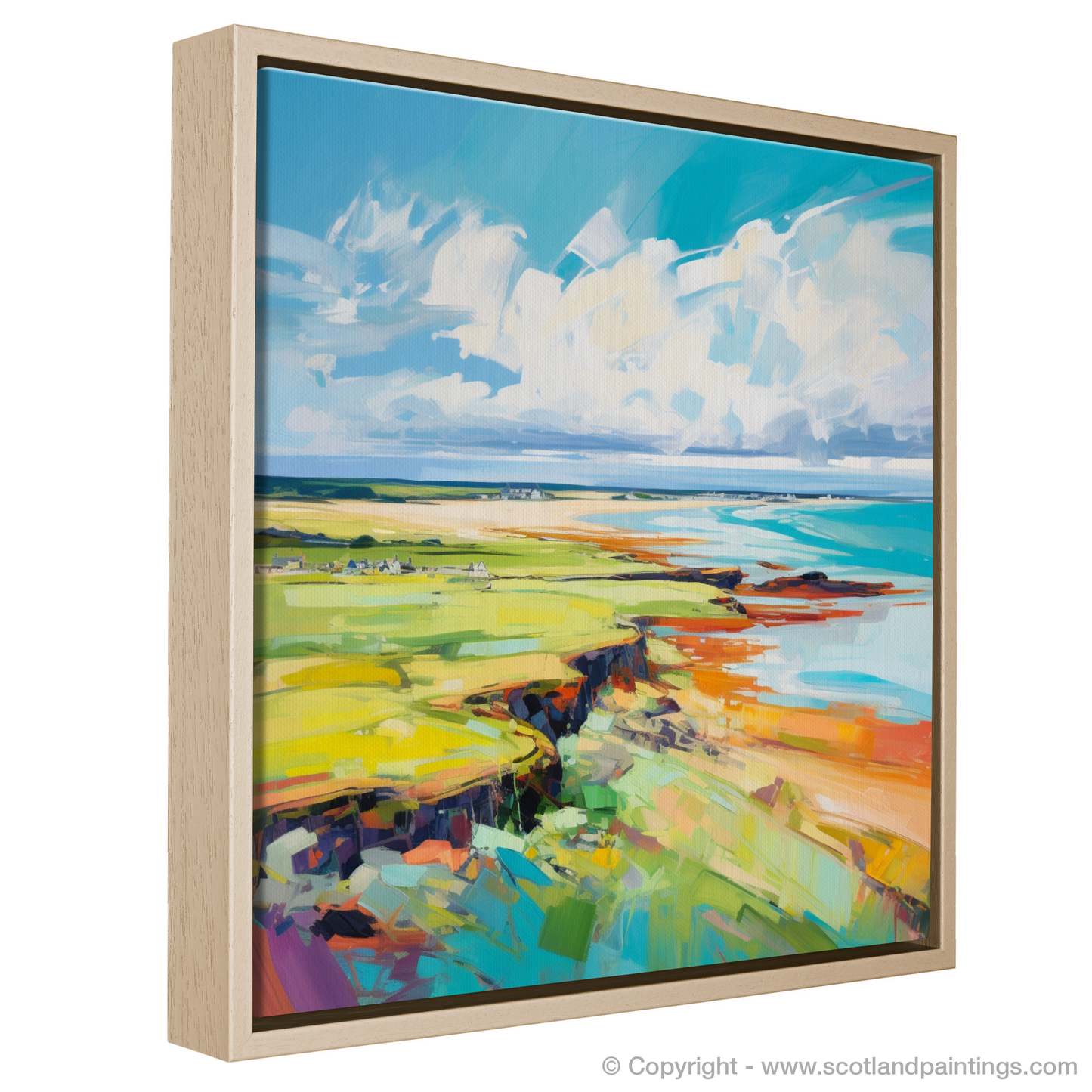 Orkney Summer Essence: A Modern Celebration of Colour and Form