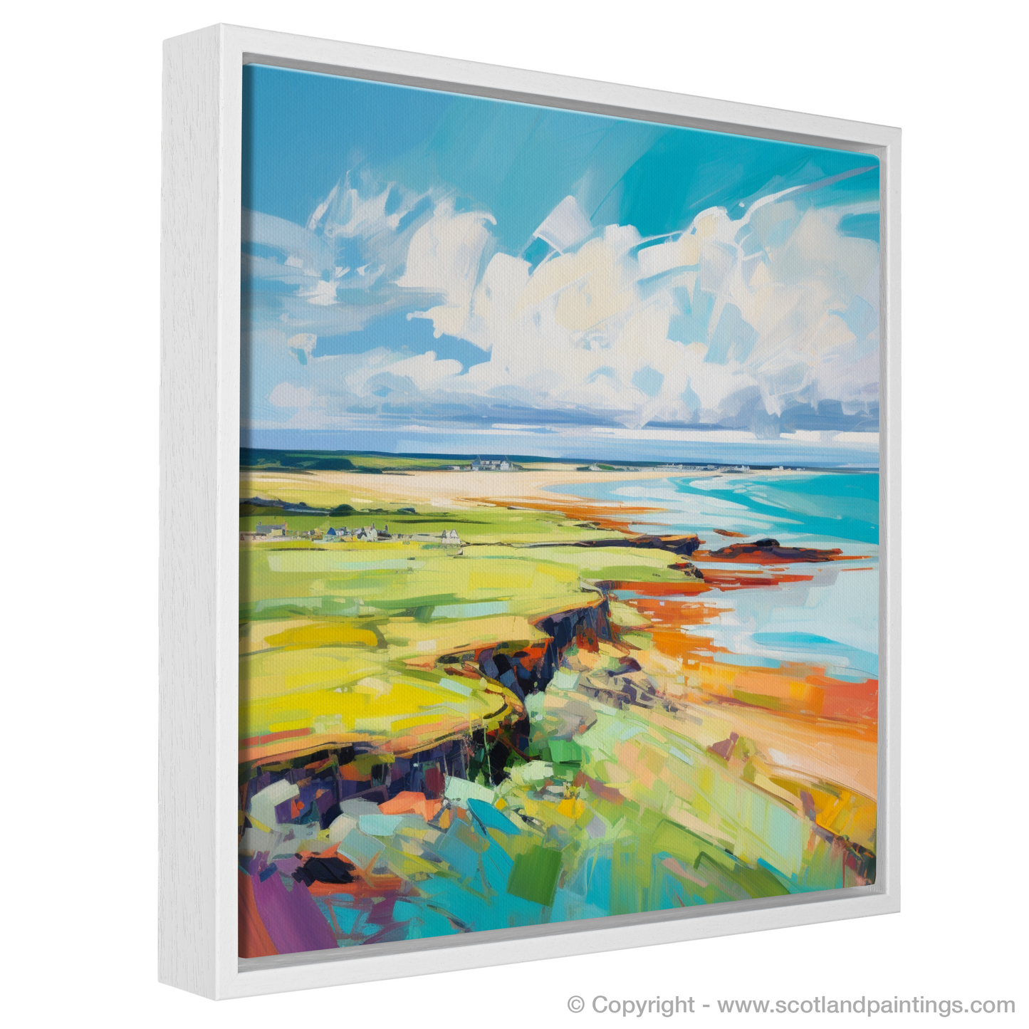 Orkney Summer Essence: A Modern Celebration of Colour and Form