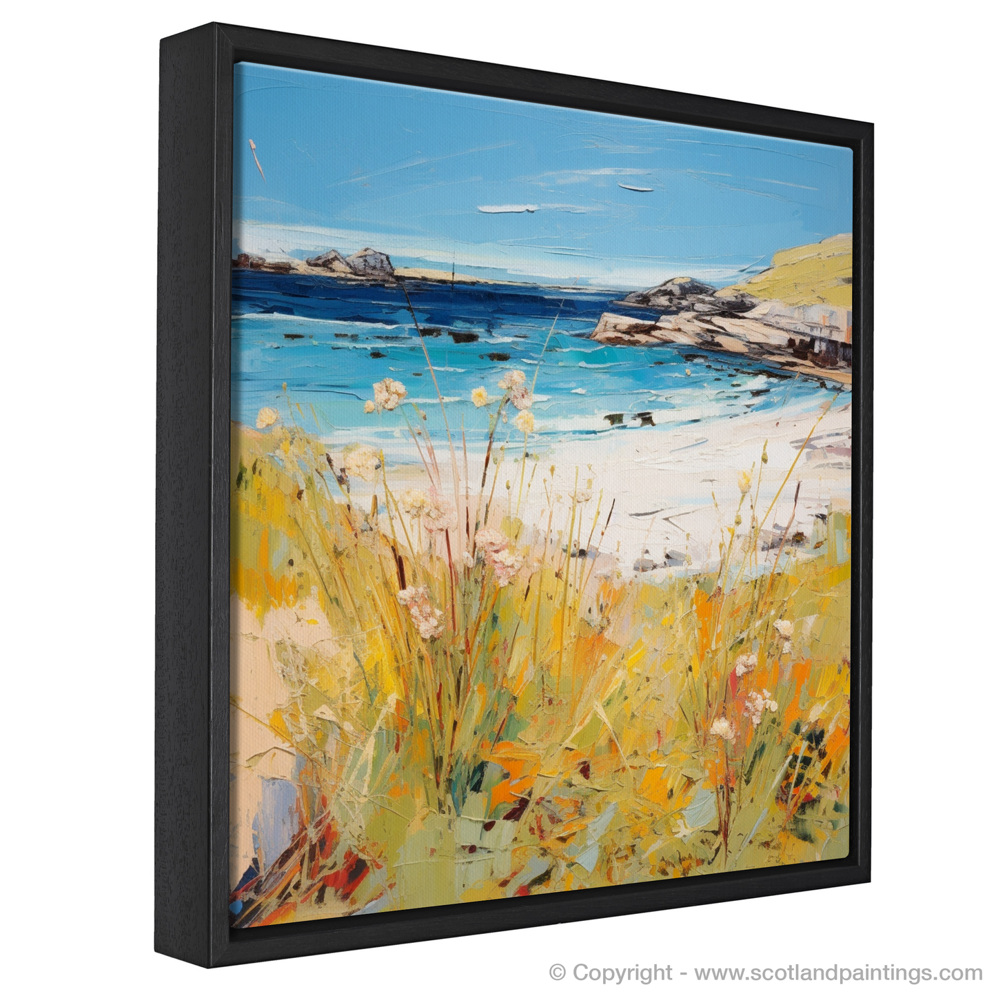 Summer Serenade at Achmelvich Beach