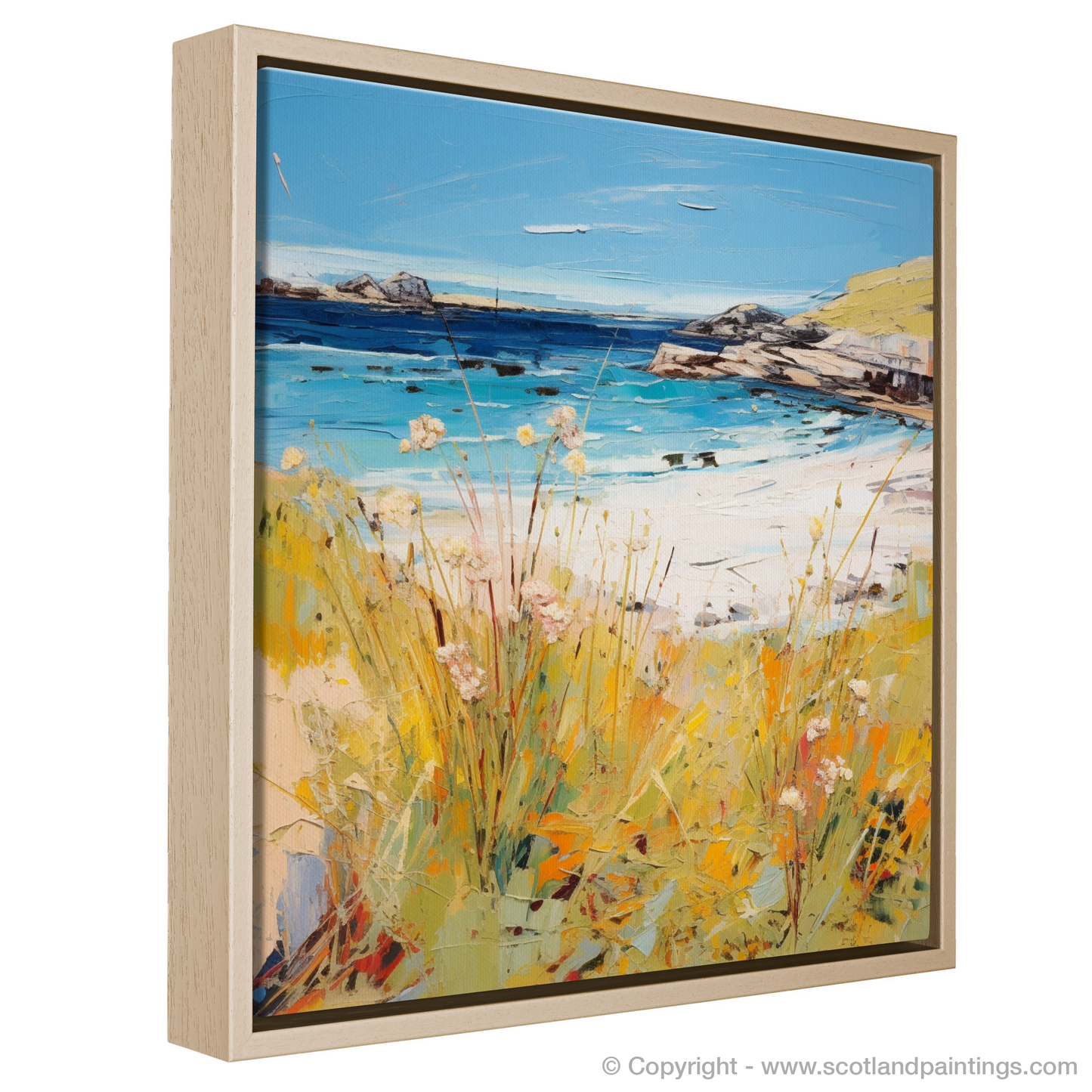 Summer Serenade at Achmelvich Beach