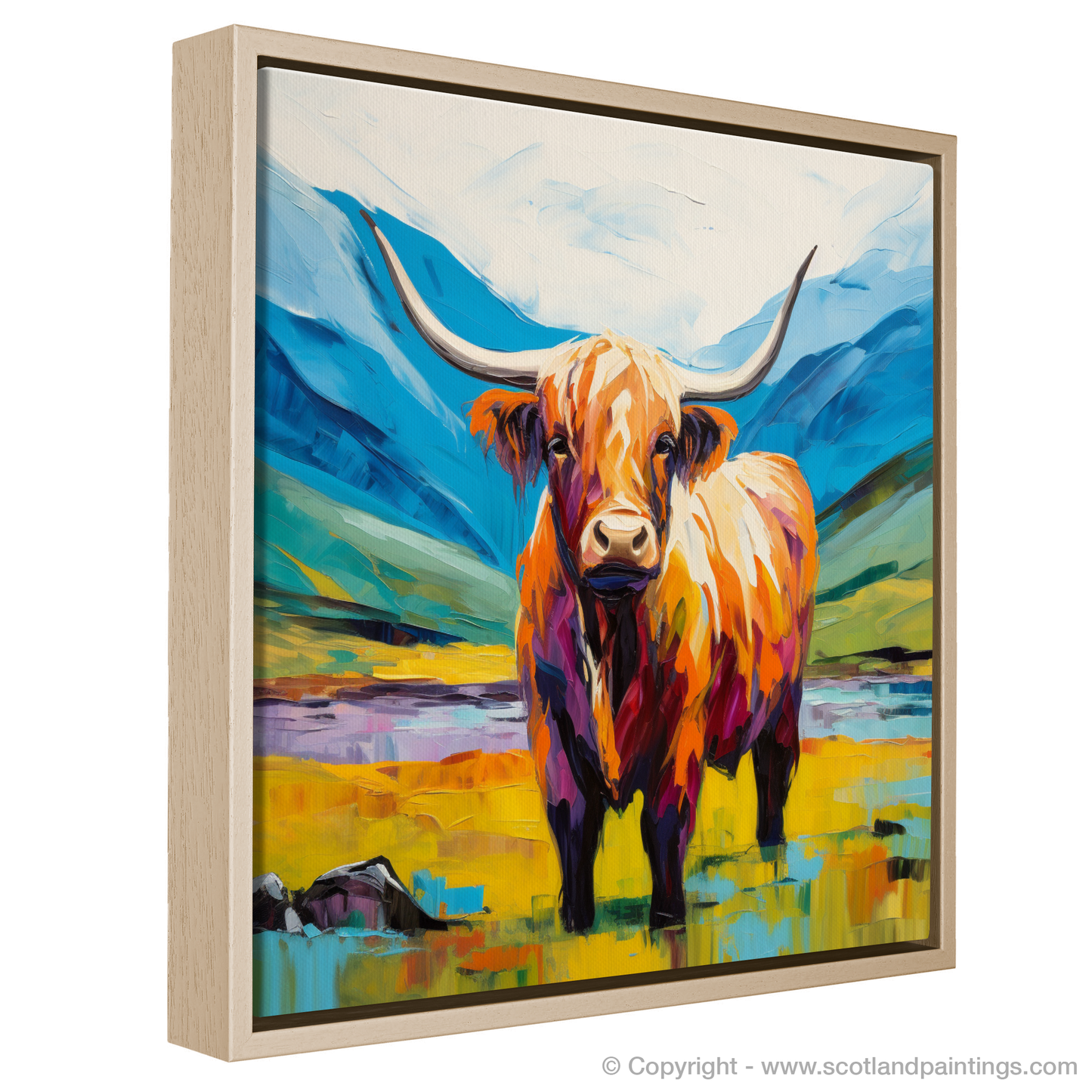 Highland Cow in Summer Splendour