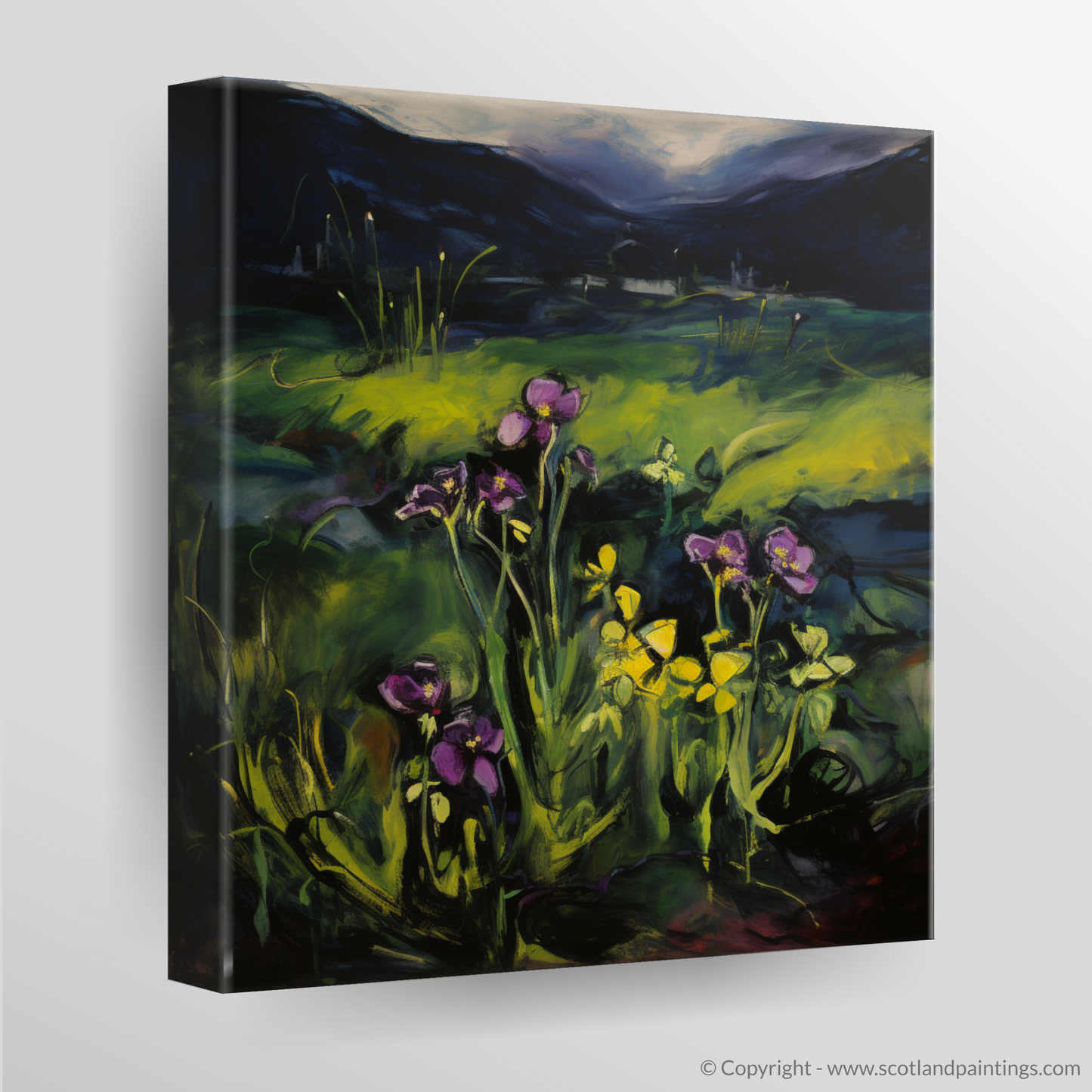 Ardnamurchan's Wild Butterwort: A Fauvist Ode to Scottish Flora