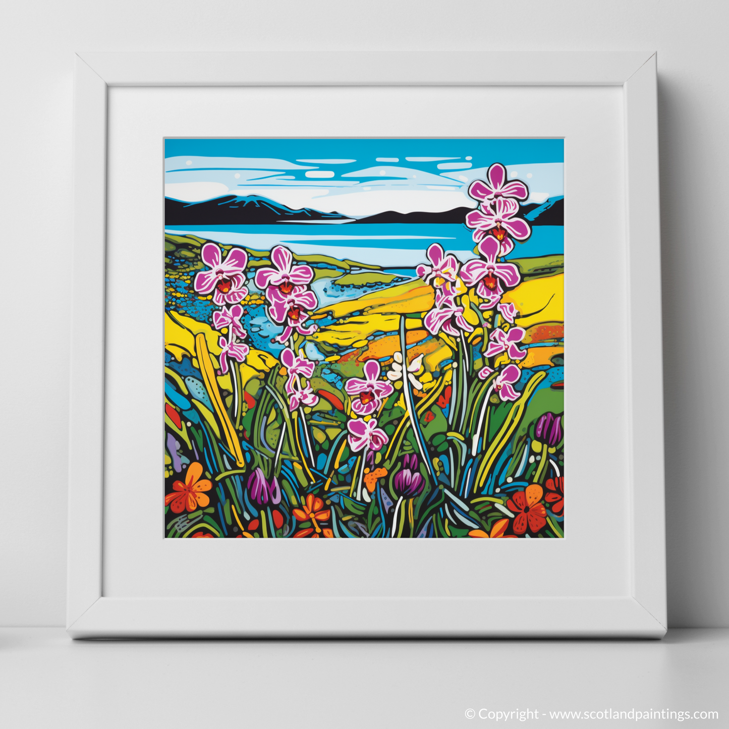 Vibrant Orchid Oasis in Uist's Machair