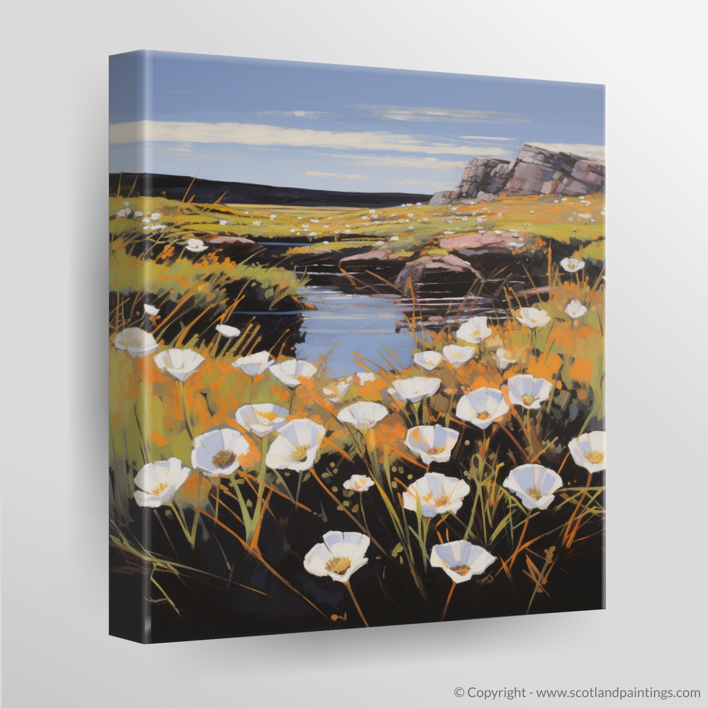 Wild Wonders of Rannoch Moor: A Vibrant Portrayal of Scottish Botanicals