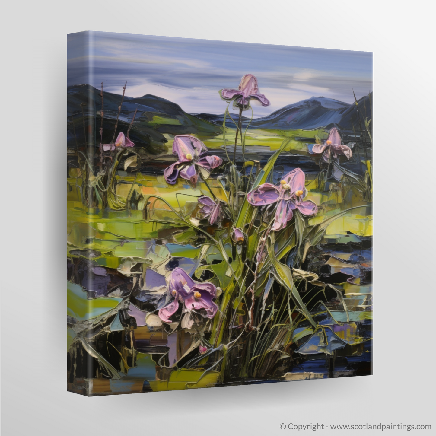 Butterwort's Embrace: A Journey through Ardnamurchan's Moody Blooms