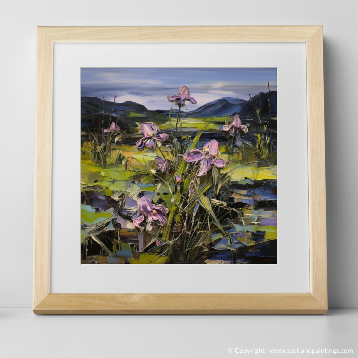 Butterwort's Embrace: A Journey through Ardnamurchan's Moody Blooms