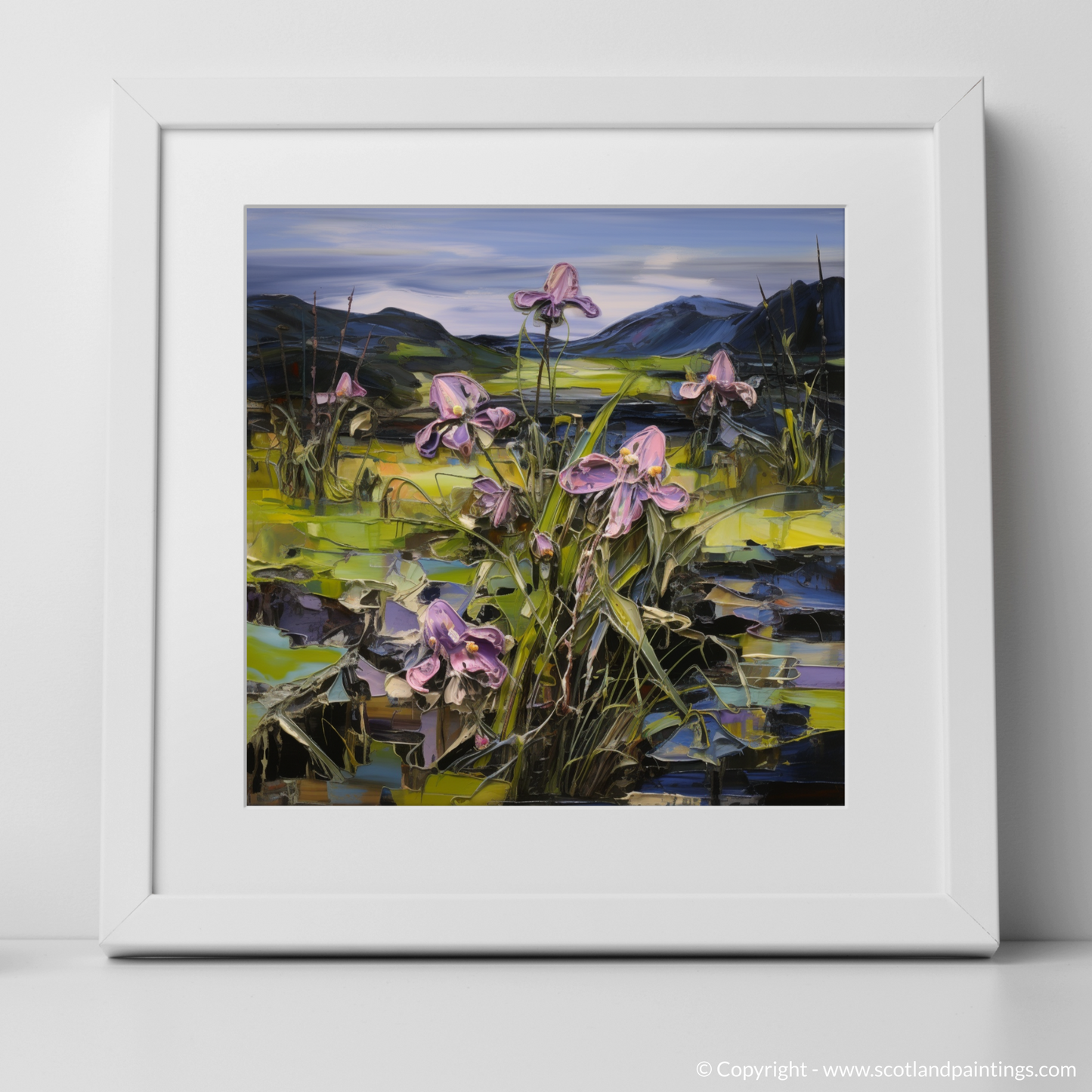 Butterwort's Embrace: A Journey through Ardnamurchan's Moody Blooms