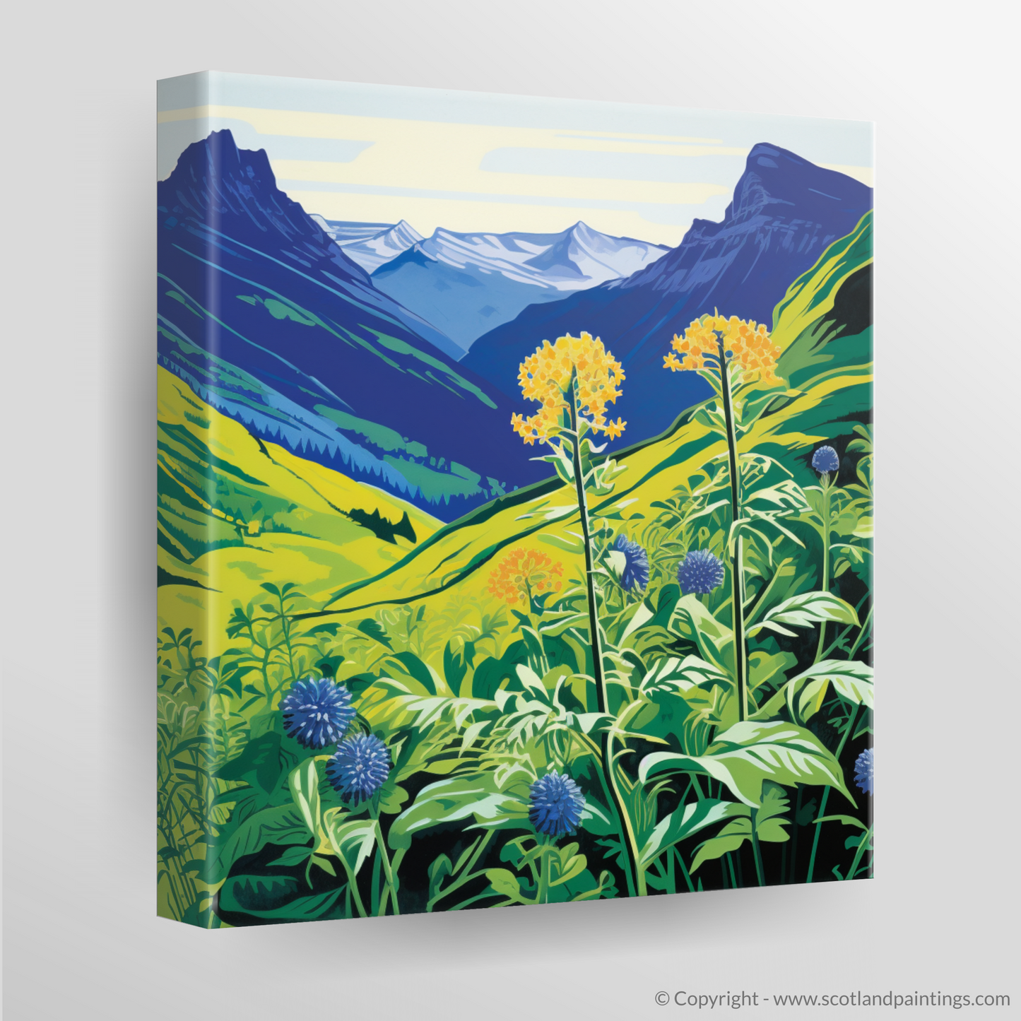 Vibrant Highland Flora: Alpine Lady's-Mantle on Ben Lawers