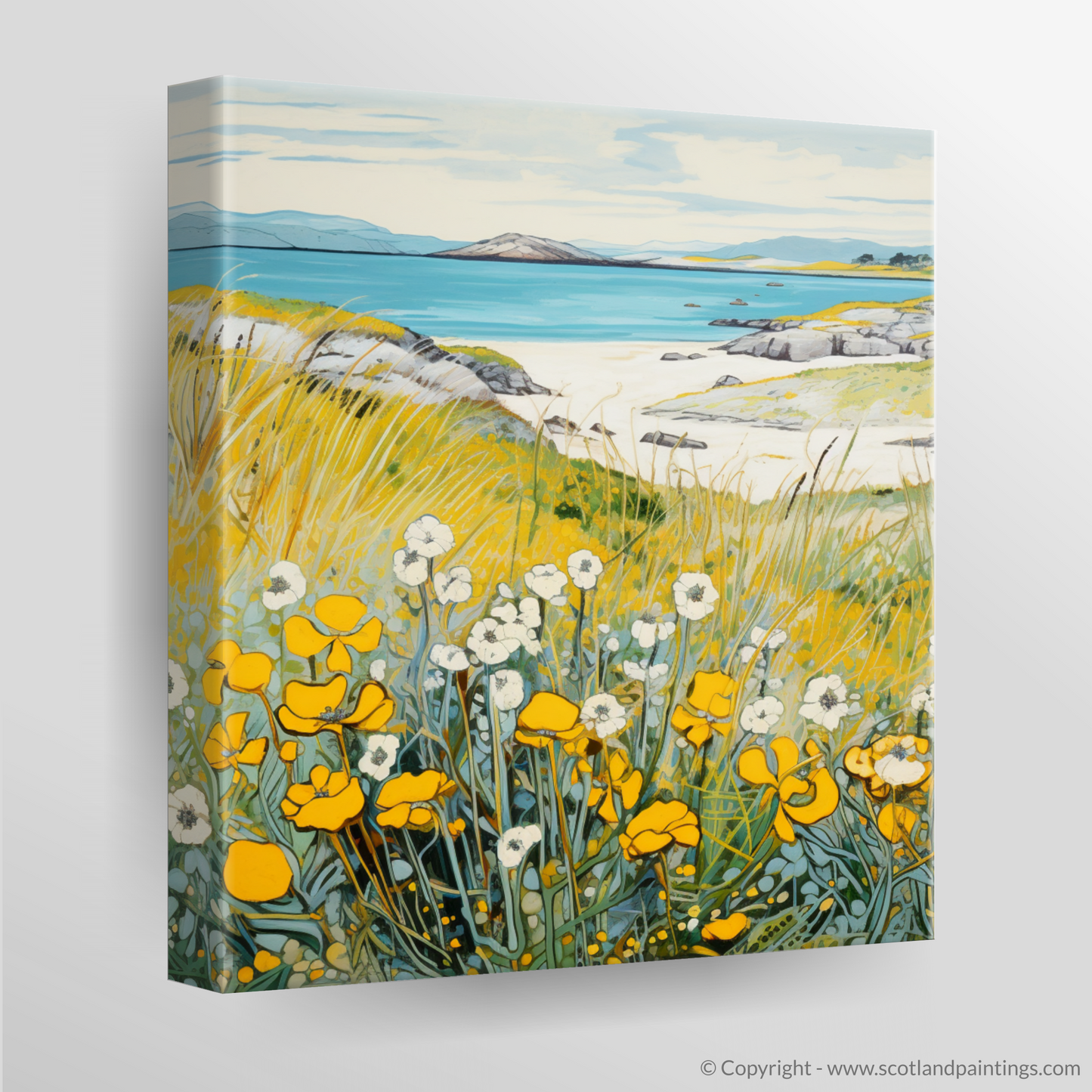 Machair Blooms: Lady's Bedstraw in Barra