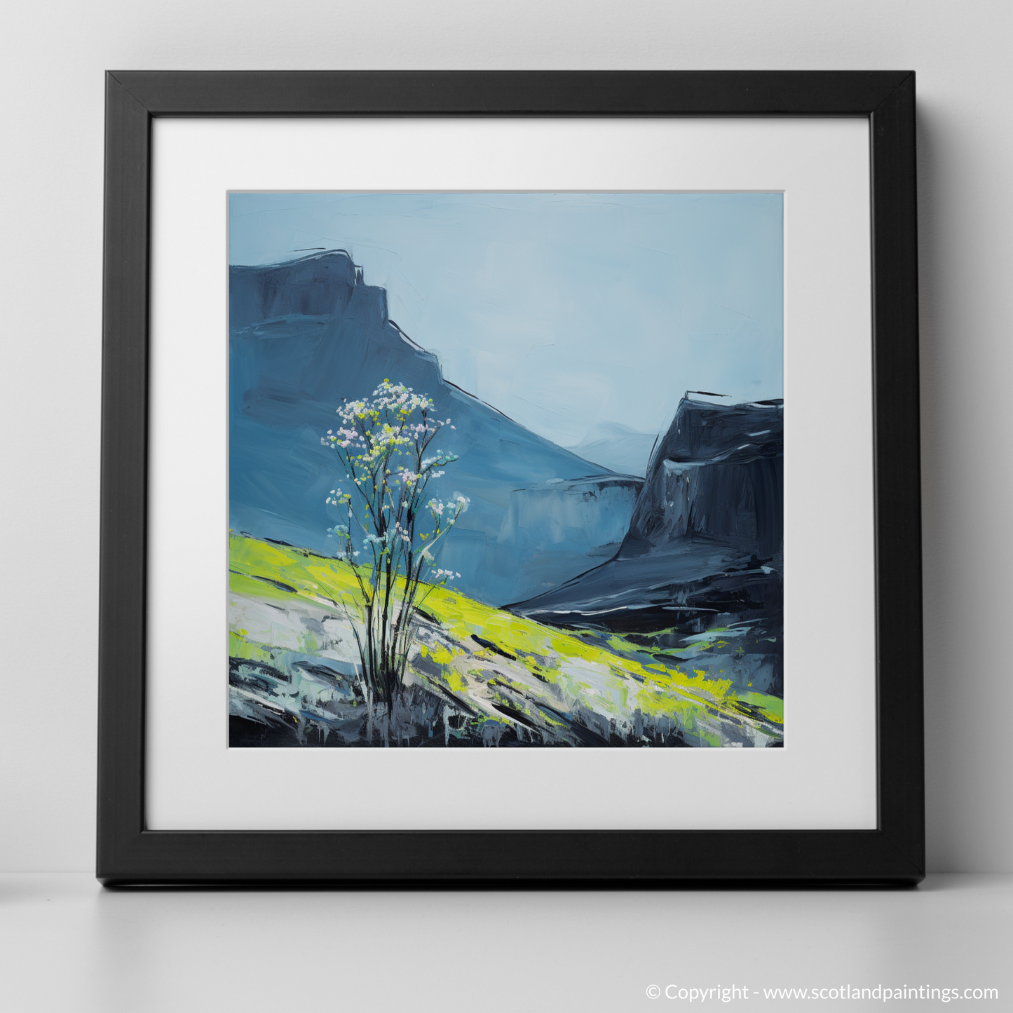 Alpine Meadow-Rue on The Cuillins Summit