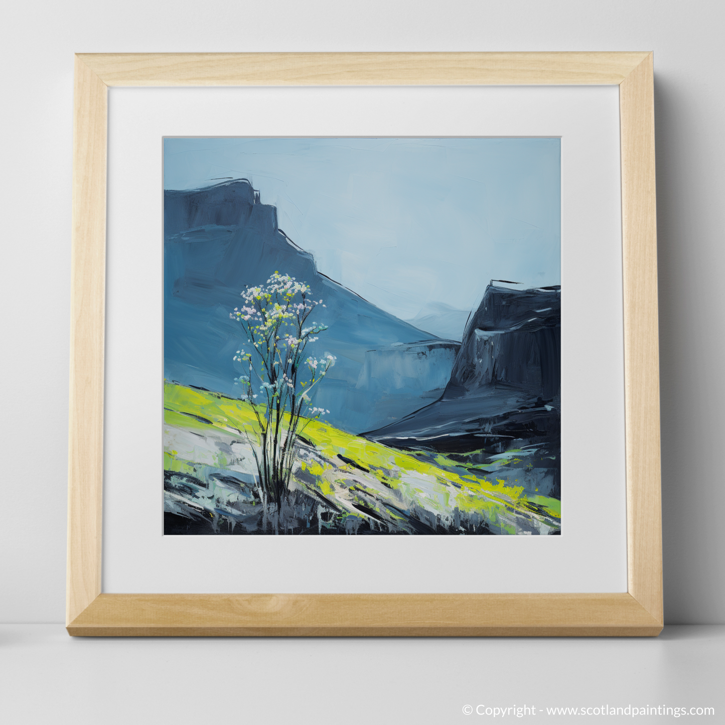 Alpine Meadow-Rue on The Cuillins Summit