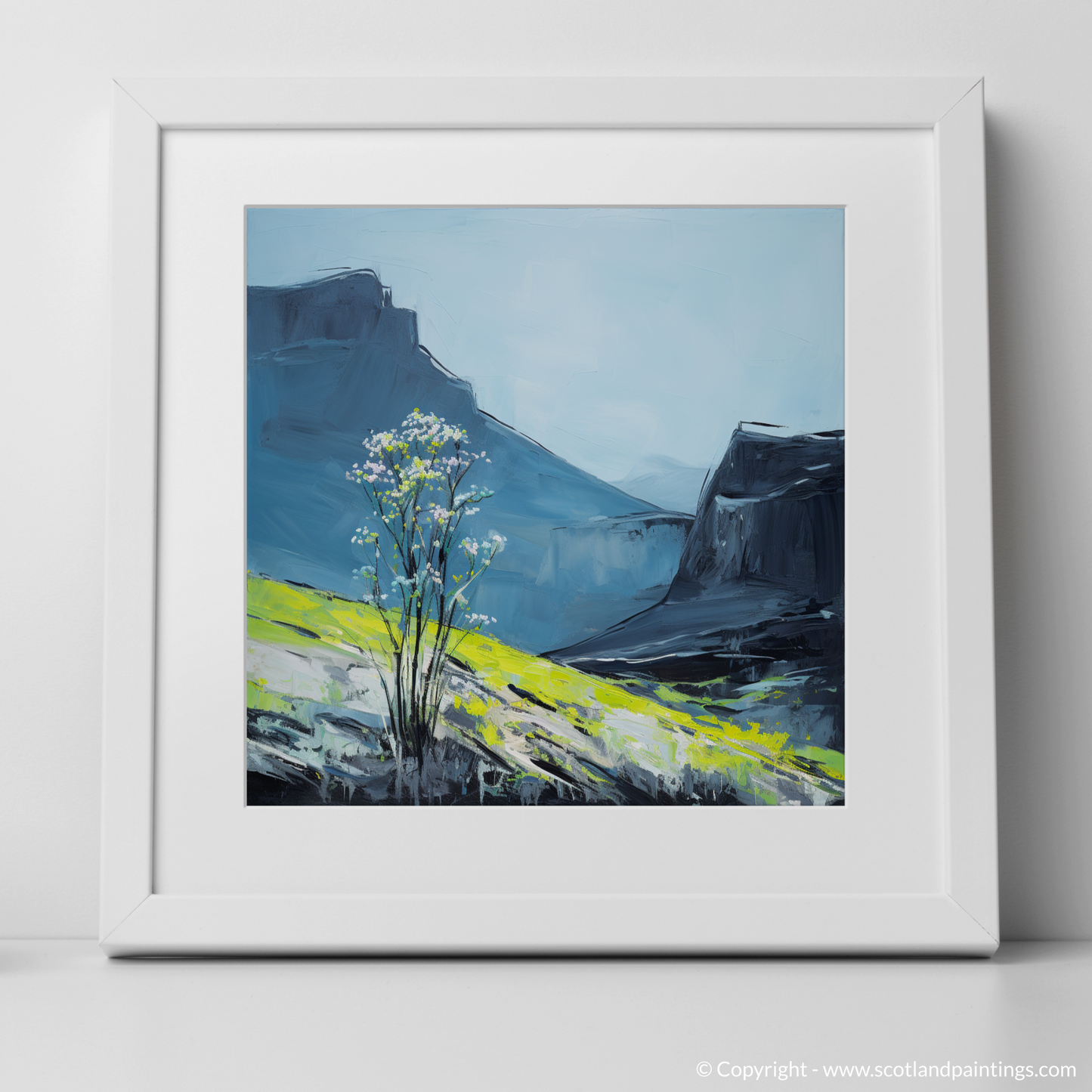 Alpine Meadow-Rue on The Cuillins Summit