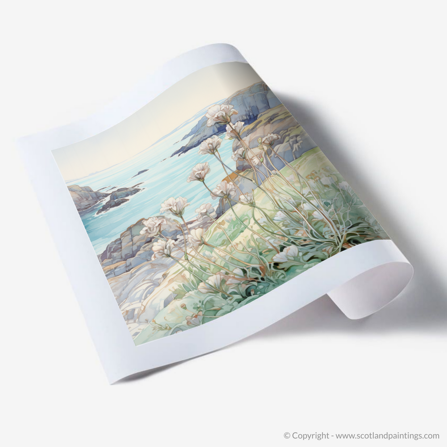 Art Nouveau Whisperings of Sea Campion on Cape Wrath Cliffs