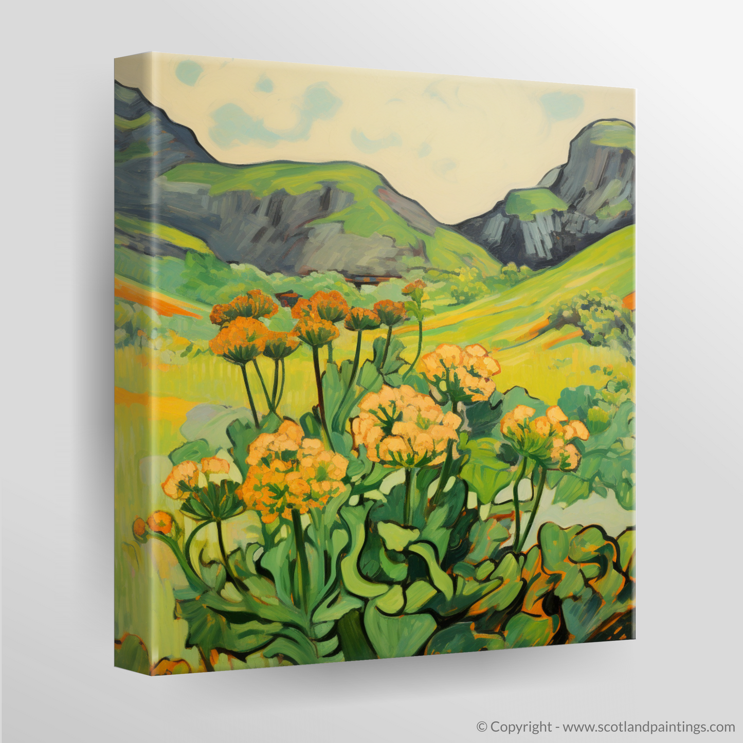 Wild Charm of Arran's Meadows: A Fauvist Ode to Lady's Mantle