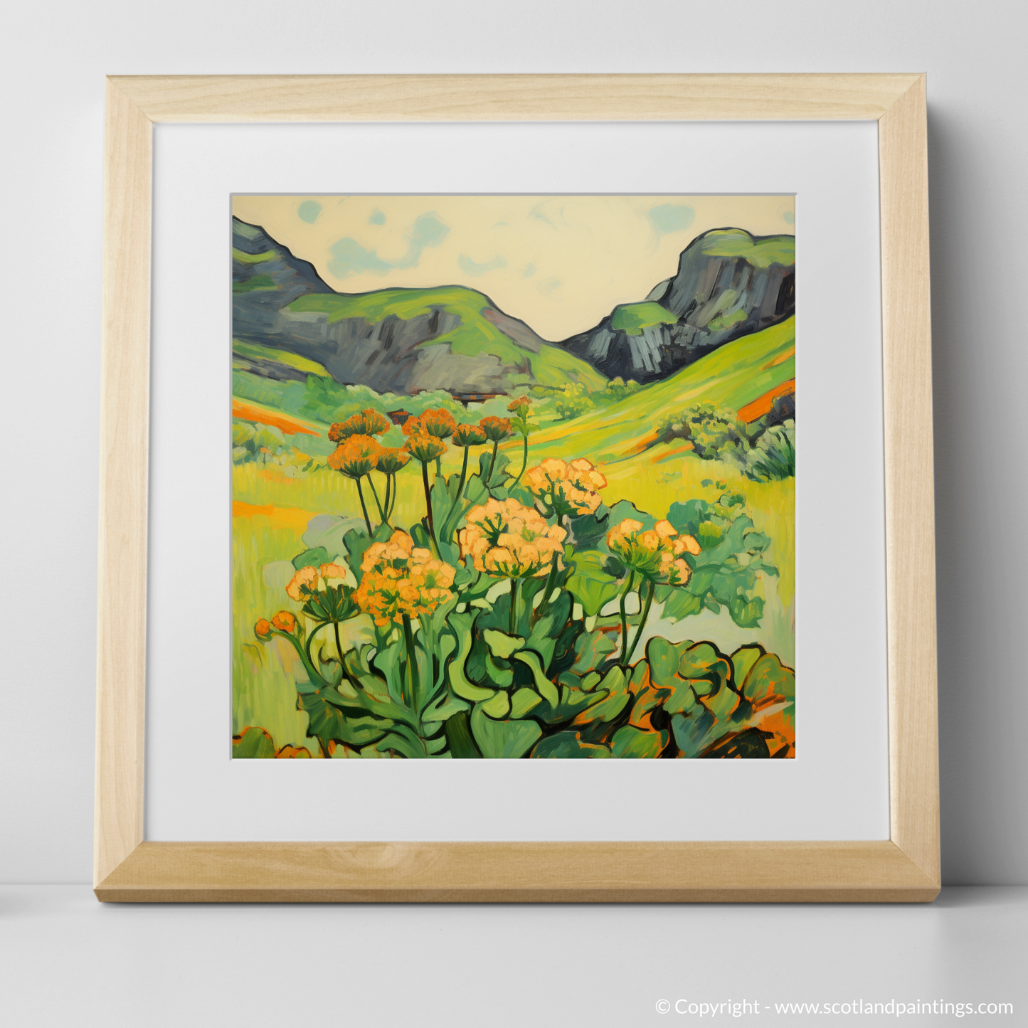 Wild Charm of Arran's Meadows: A Fauvist Ode to Lady's Mantle