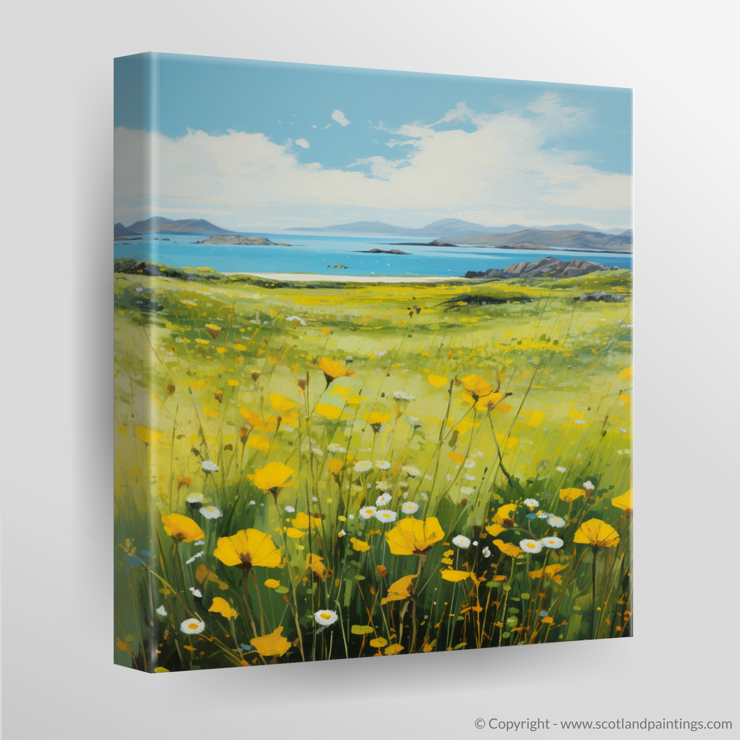 Machair Meadows: A Naive Art Tribute to Yellow Rattle in the Outer Hebrides
