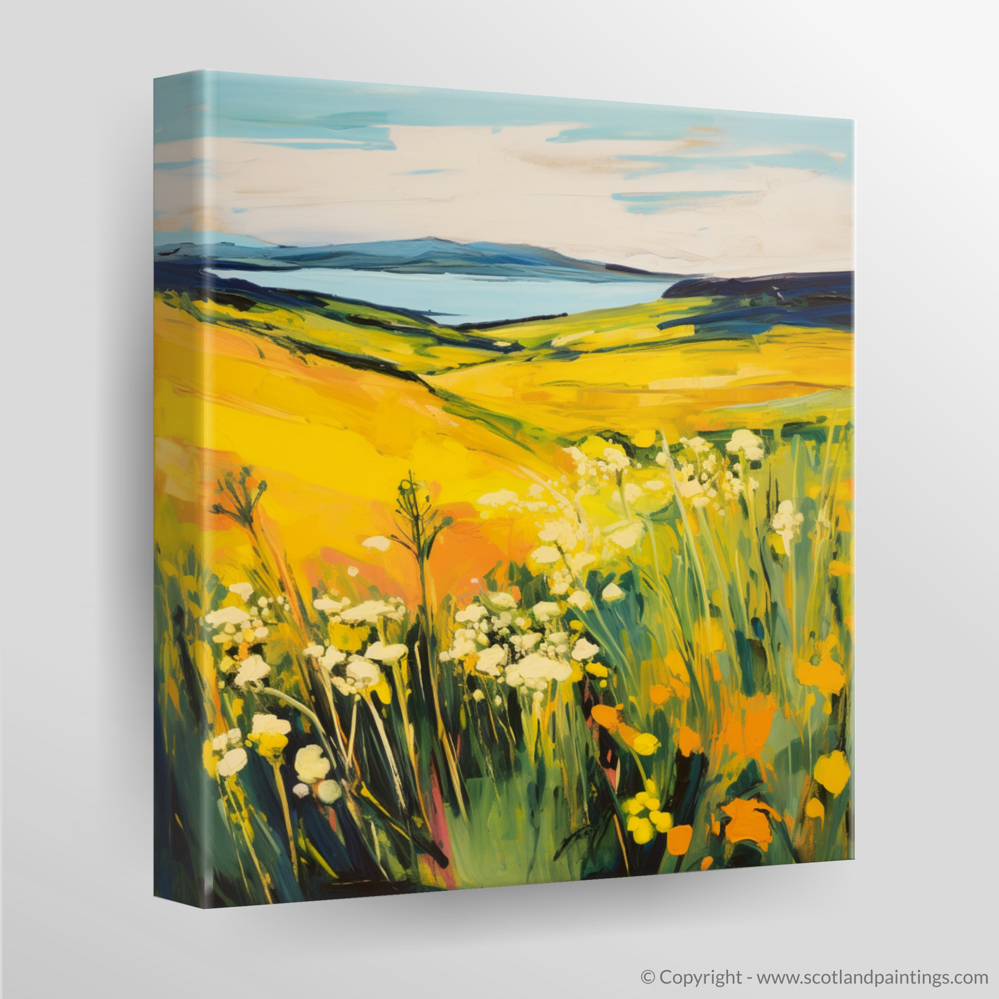 Machair Radiance: Fauvist Ode to Lady's Bedstraw