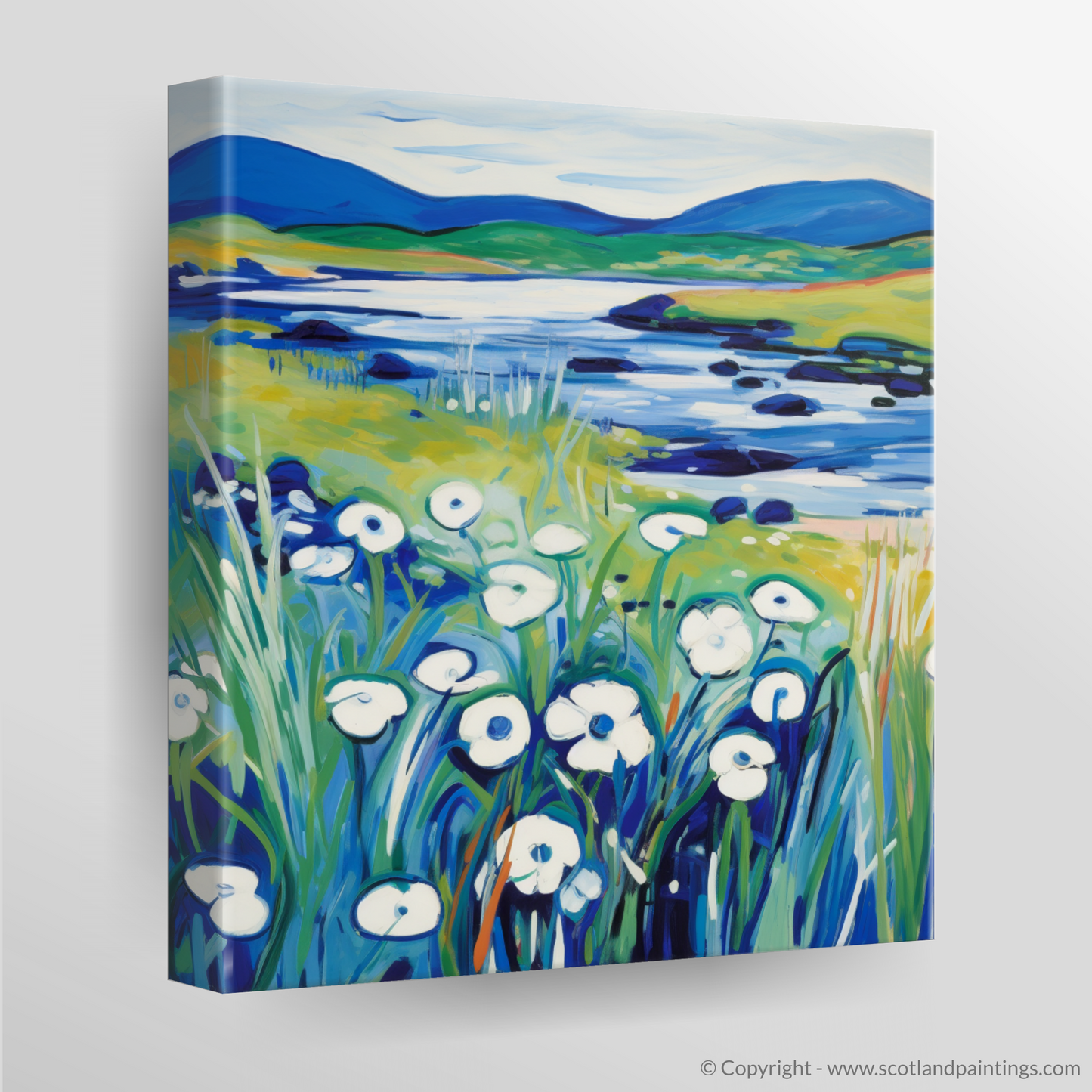 Wild Cotton Grass Fauvism: A Tribute to the Isle of Skye's Upland Bogs