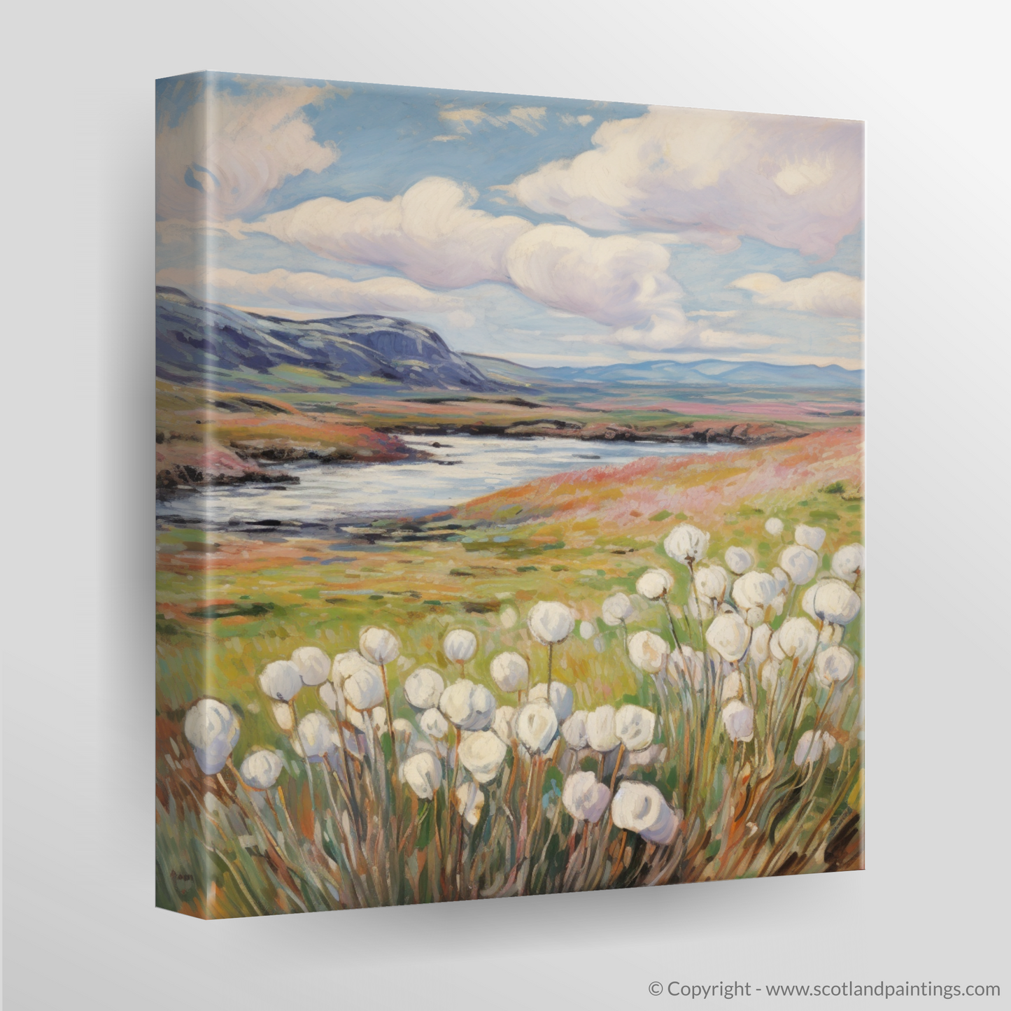 Whispers of Skye: Cotton Grass Serenade in the Upland Bogs