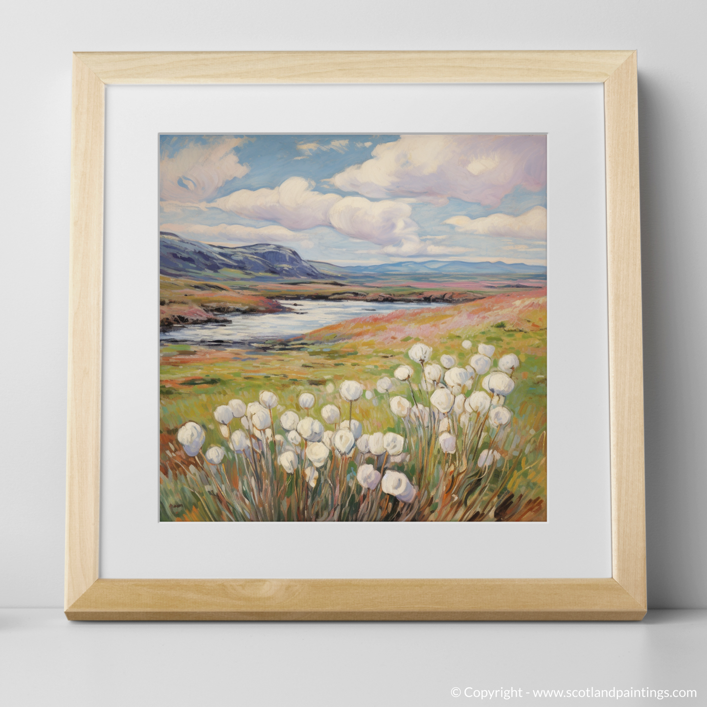 Whispers of Skye: Cotton Grass Serenade in the Upland Bogs