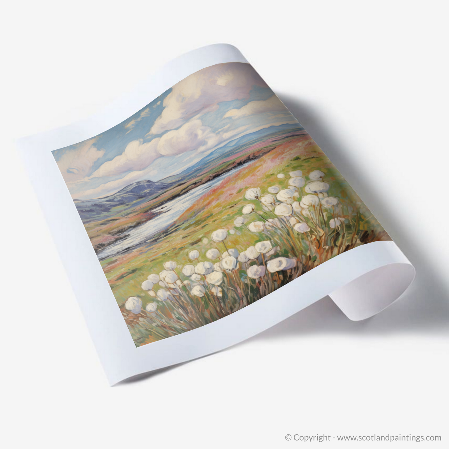 Whispers of Skye: Cotton Grass Serenade in the Upland Bogs