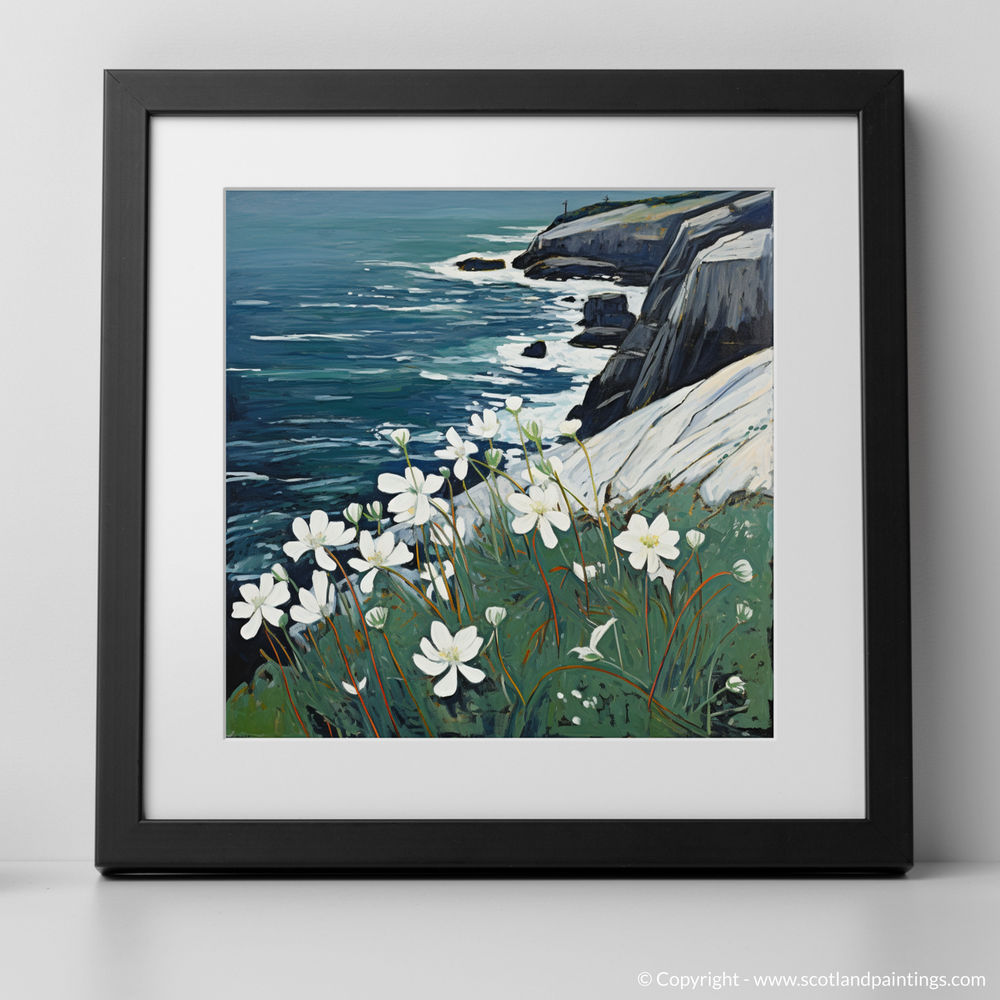 Naive Art Charm: Sea Campion on Cape Wrath Cliffs