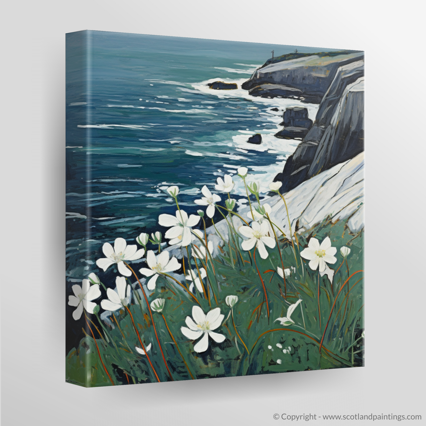 Naive Art Charm: Sea Campion on Cape Wrath Cliffs