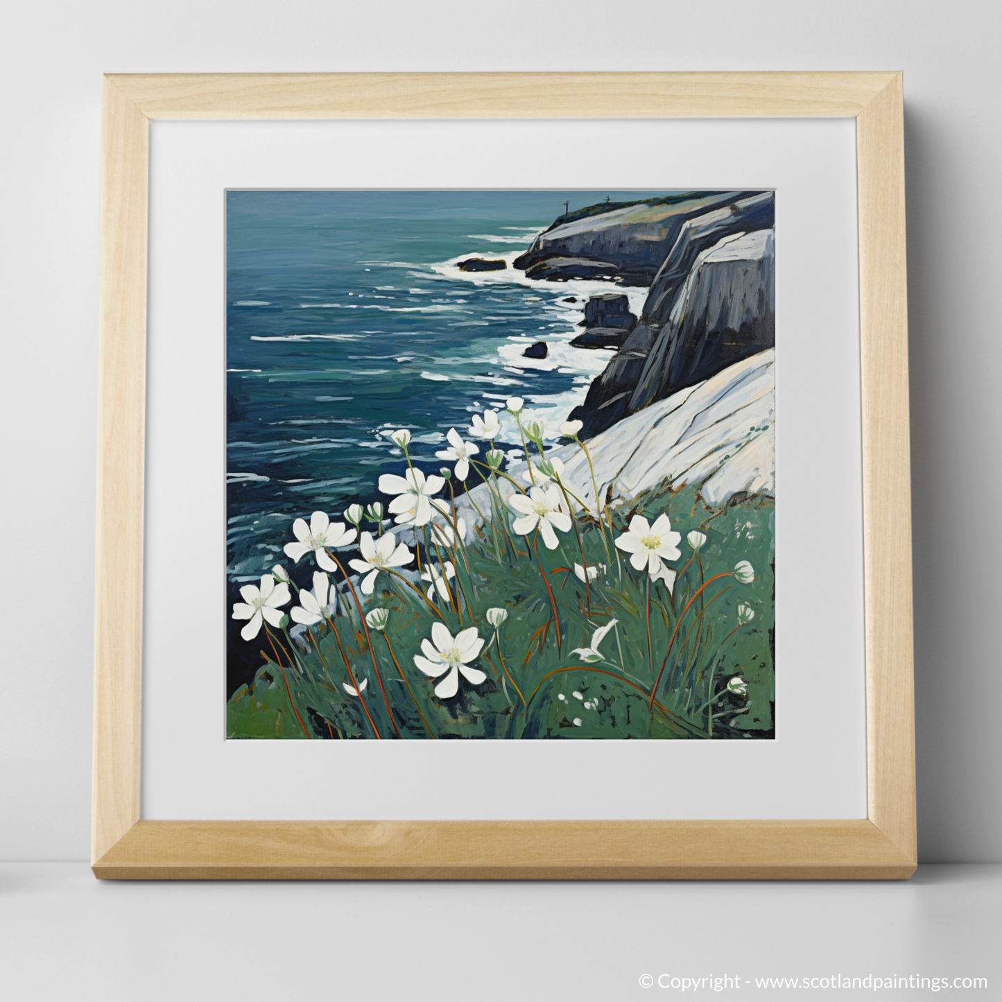 Naive Art Charm: Sea Campion on Cape Wrath Cliffs