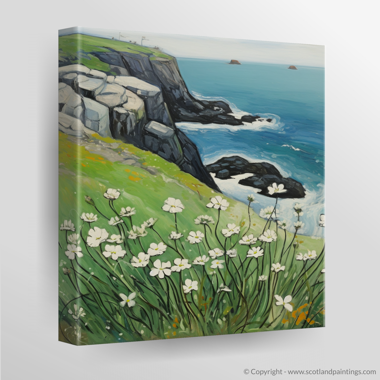 Sea Campion on the Cliffs of Cape Wrath: A Naive Art Homage to Scottish Coastal Splendor