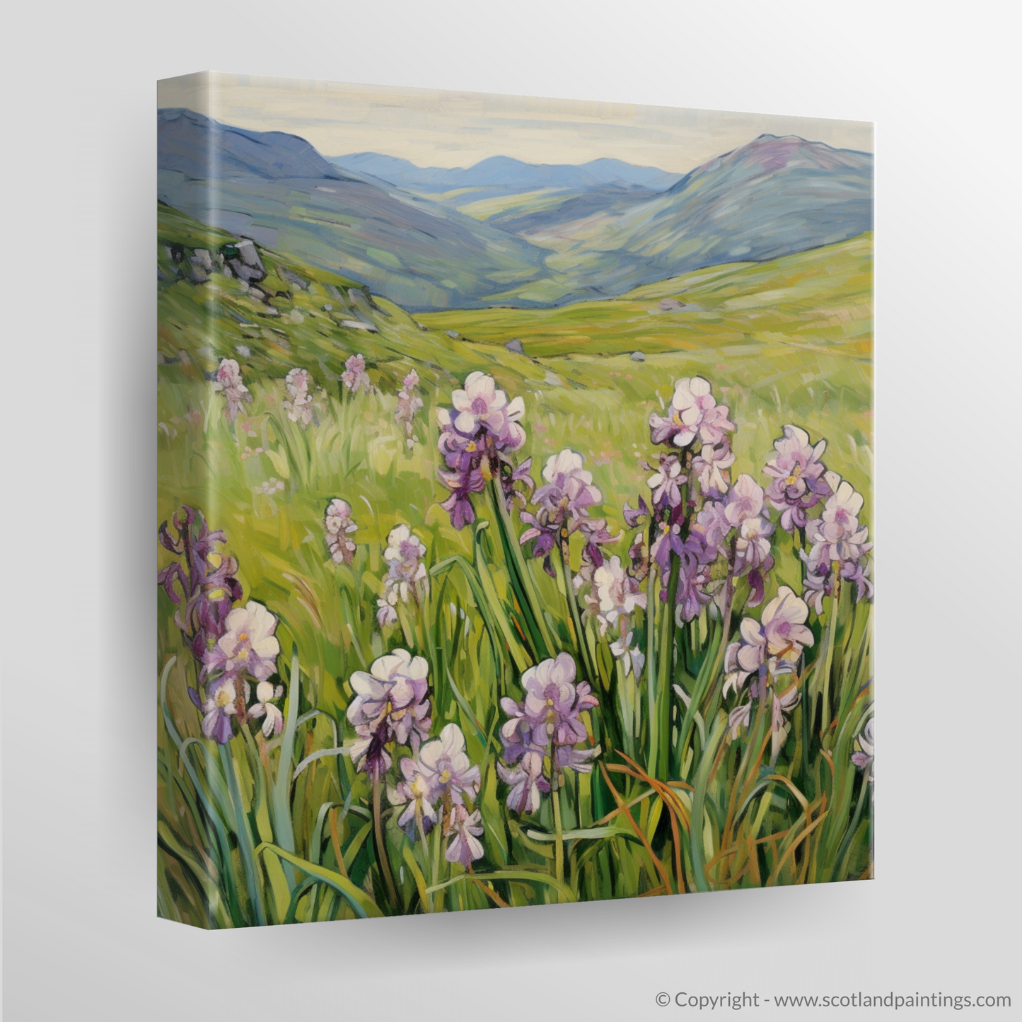 Moorland Spotted Orchid in The Mamores: An Art Nouveau Tribute