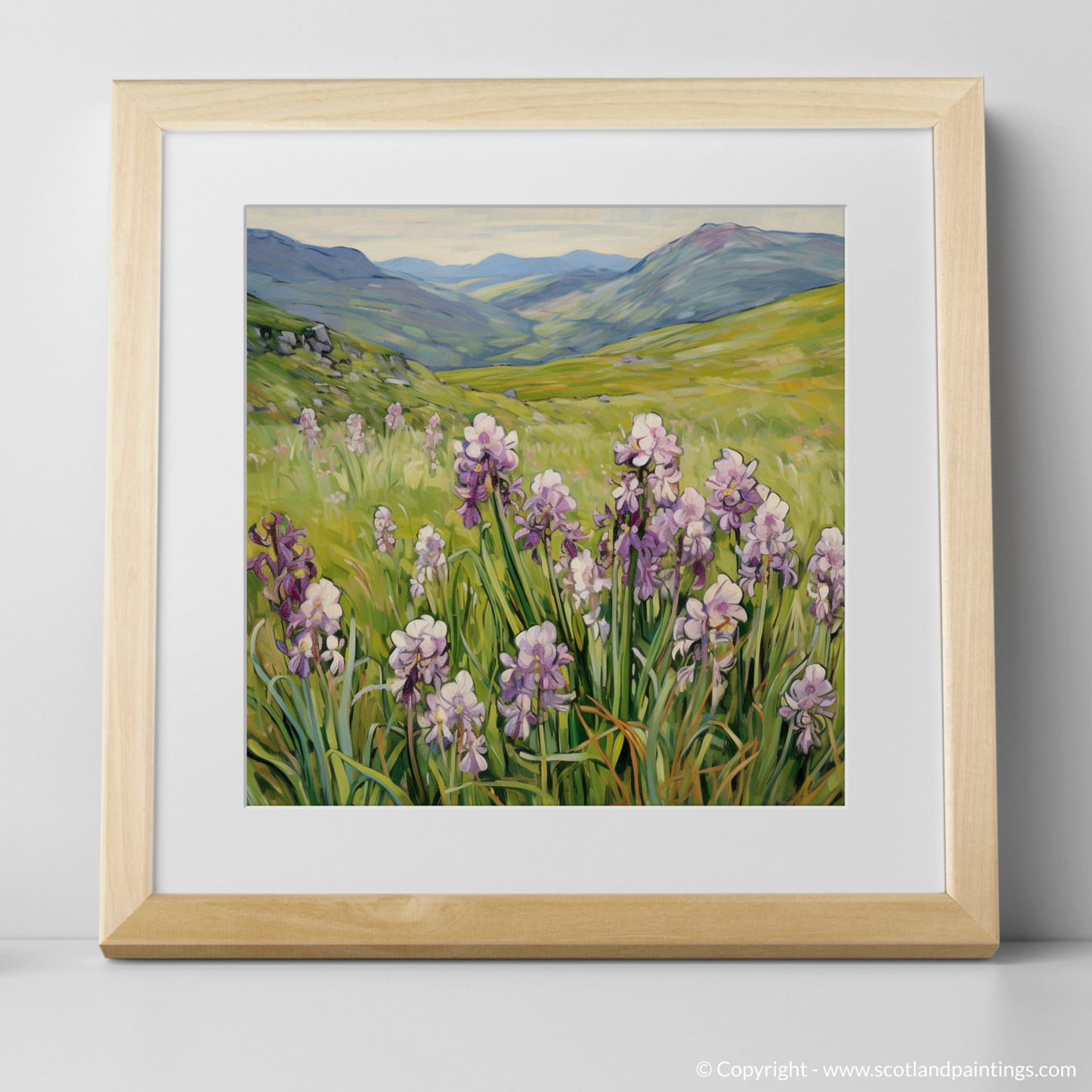 Moorland Spotted Orchid in The Mamores: An Art Nouveau Tribute