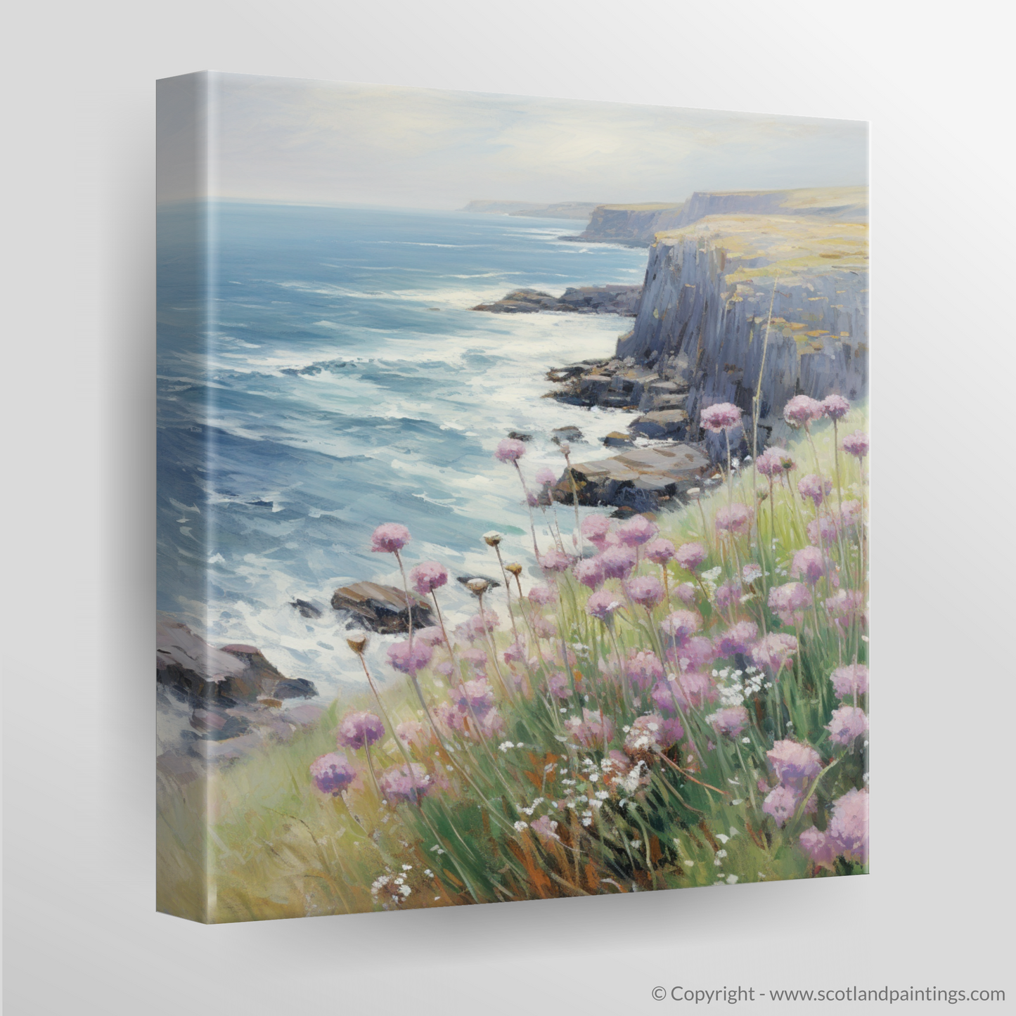 Dancing Sea Thrift on Skye Cliffs