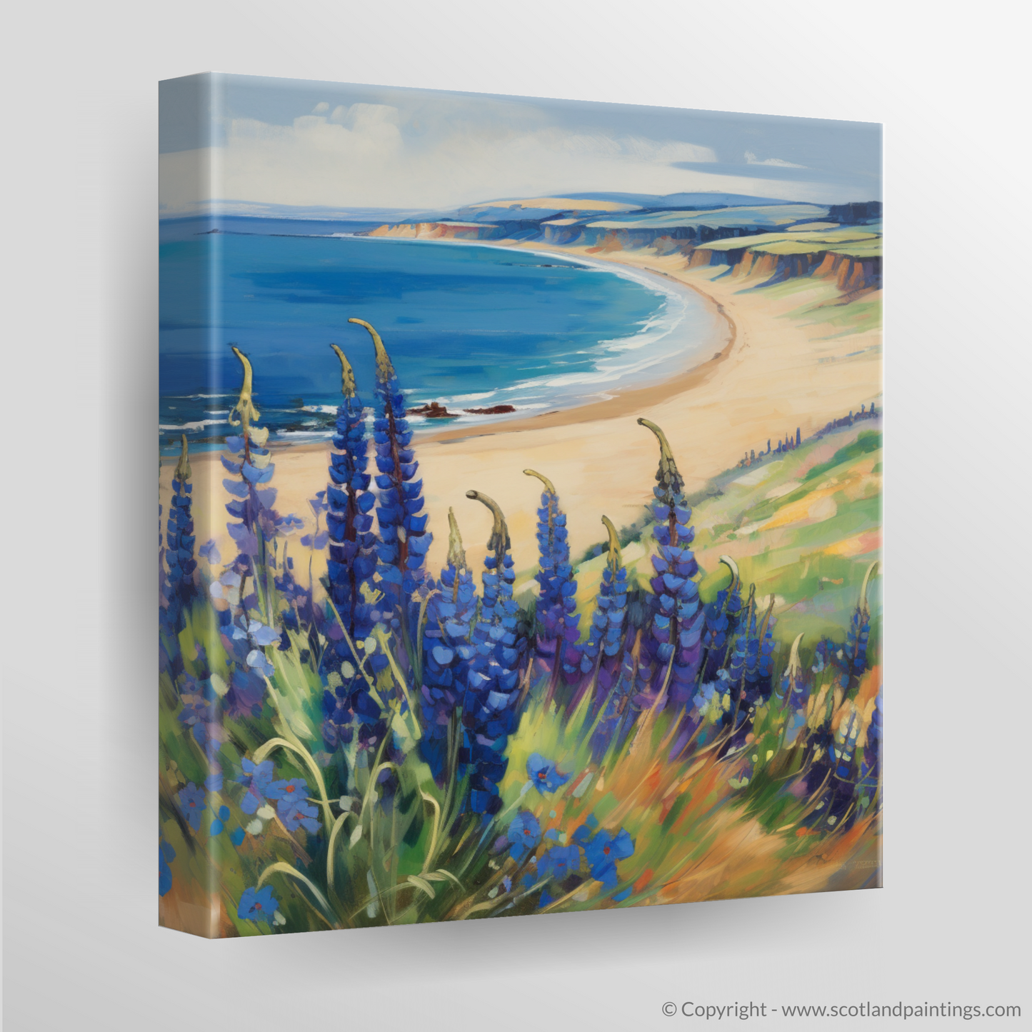 East Lothian's Coastal Blooms: A Fauvist Ode to Viper's Bugloss