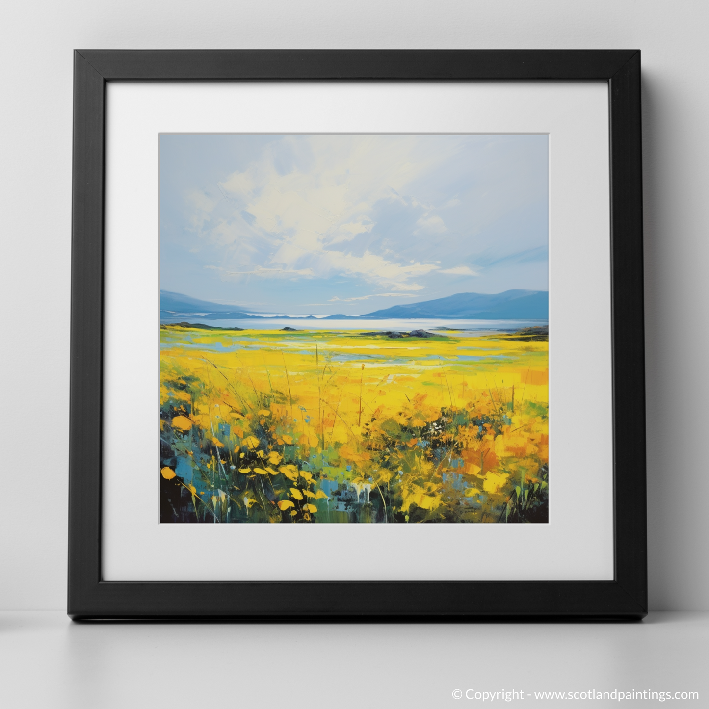 Machair Meadow: A Symphony of Colour in the Outer Hebrides