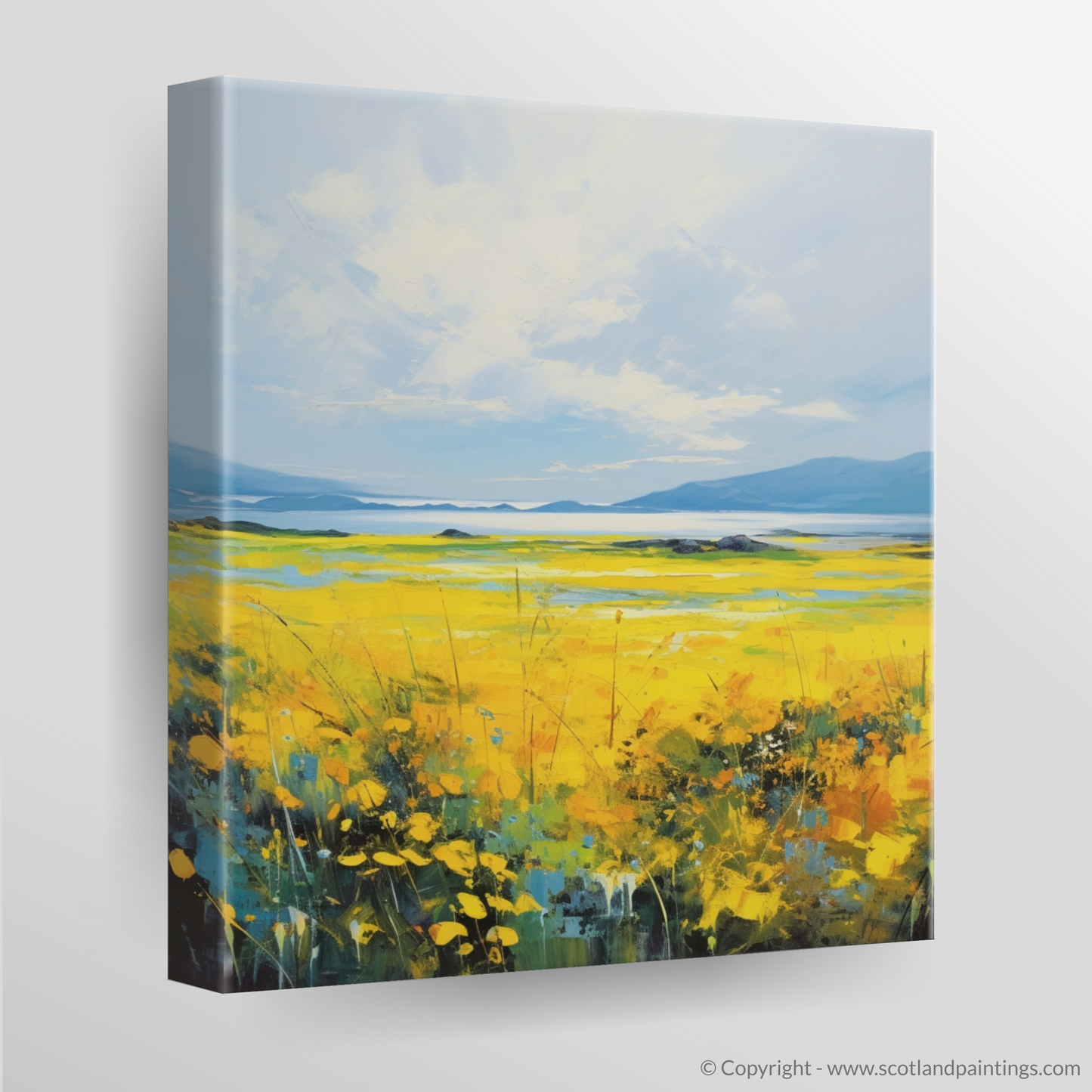 Machair Meadow: A Symphony of Colour in the Outer Hebrides