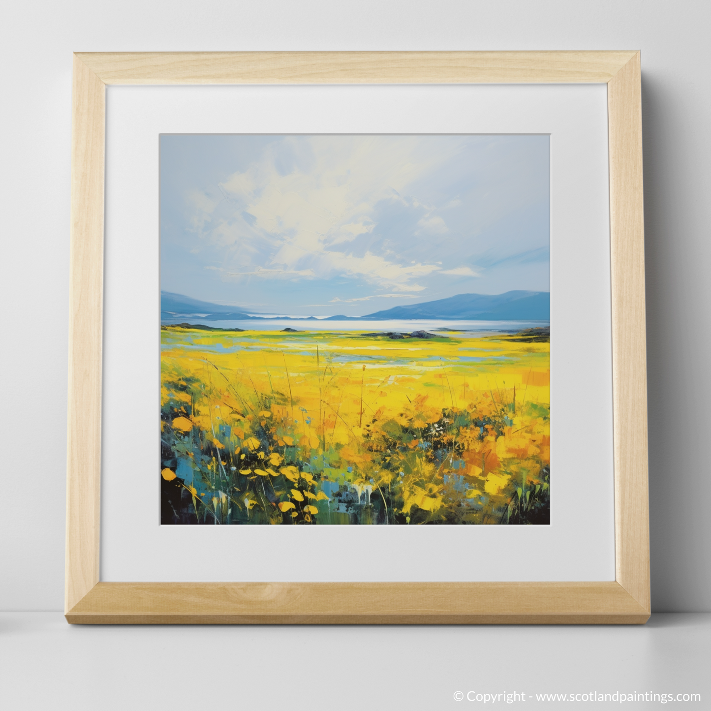 Machair Meadow: A Symphony of Colour in the Outer Hebrides