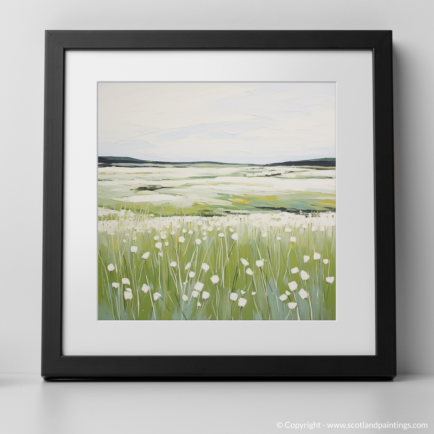 Cotton Grass Whispers of Isle of Skye