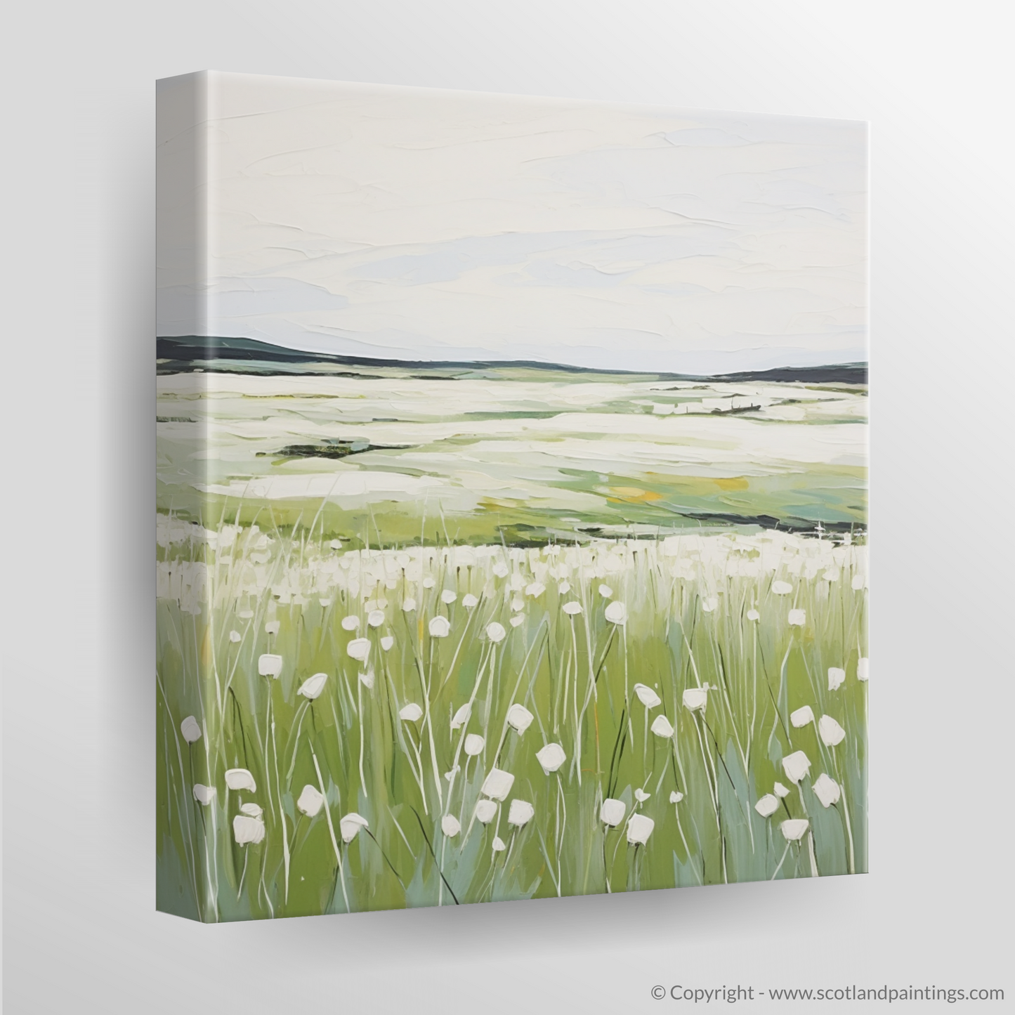 Cotton Grass Whispers of Isle of Skye