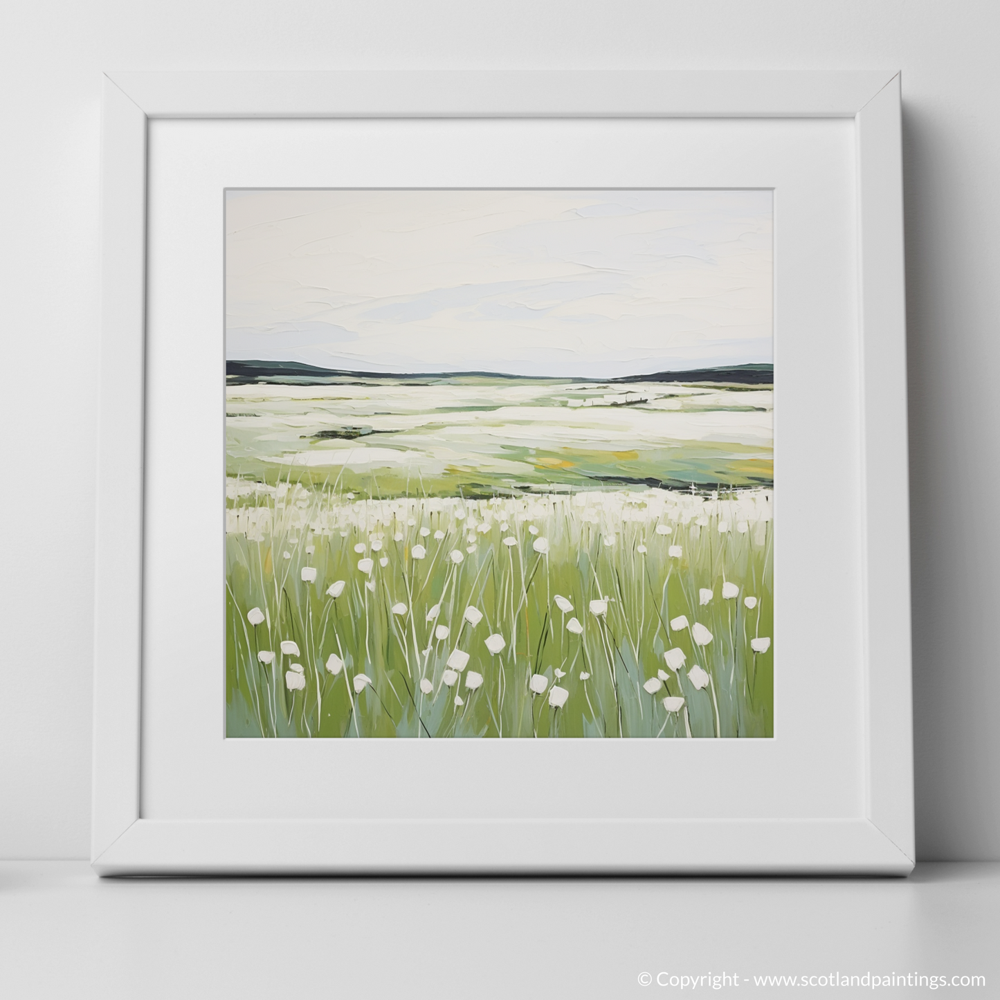 Cotton Grass Whispers of Isle of Skye