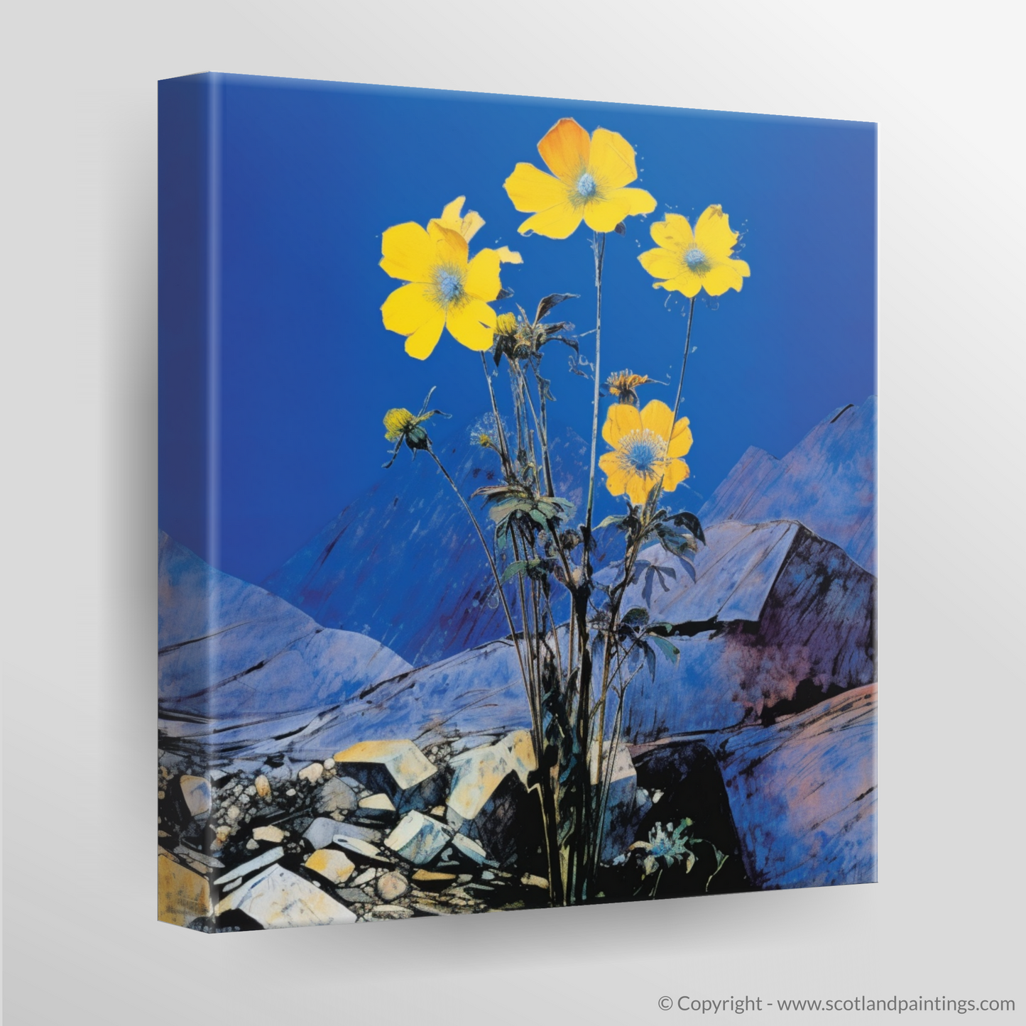 Mountain Avens Majesty: A Tribute to the Scottish Highlands