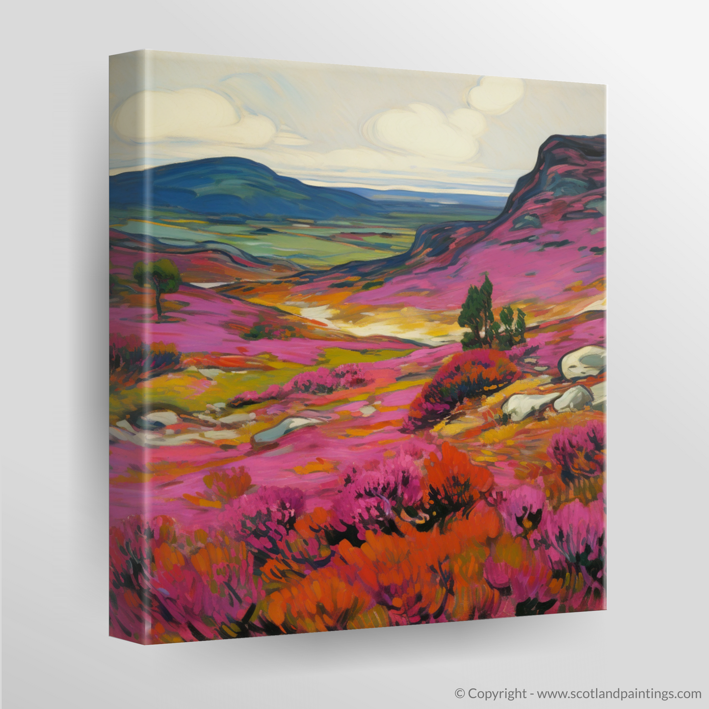 Vibrant Cairngorms: A Fauvist Ode to Bell Heather