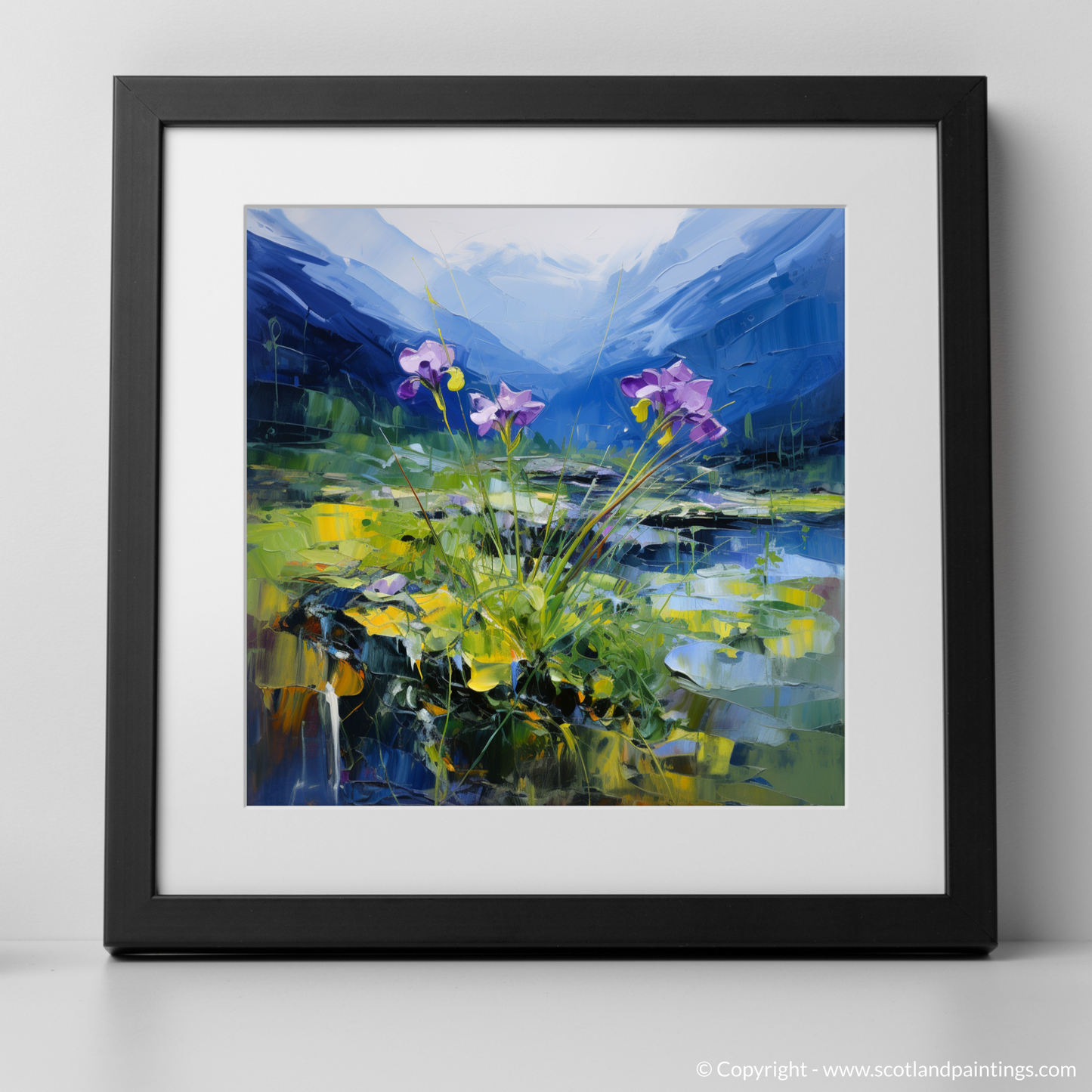 Wild Butterwort Dance on Ben Cruachan