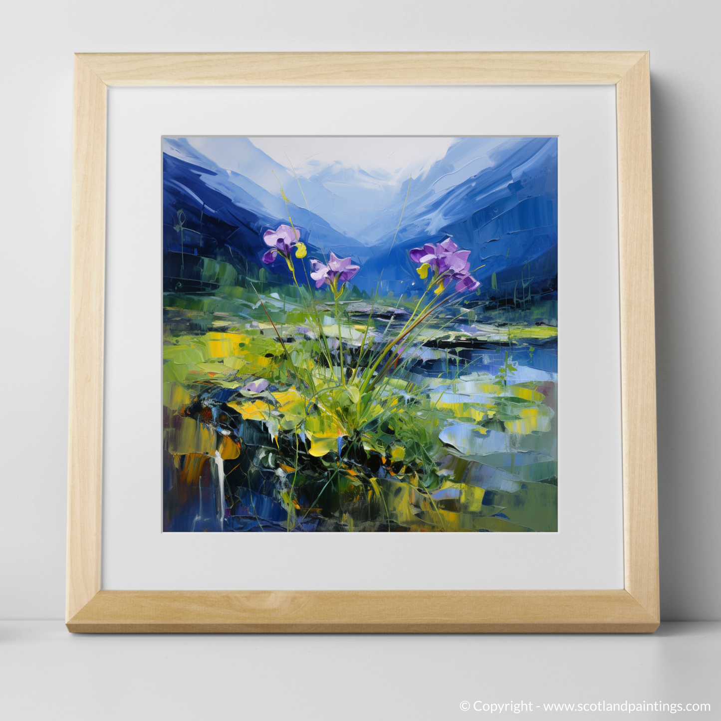 Wild Butterwort Dance on Ben Cruachan