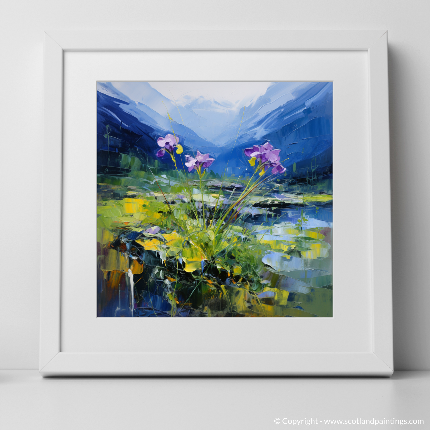 Wild Butterwort Dance on Ben Cruachan