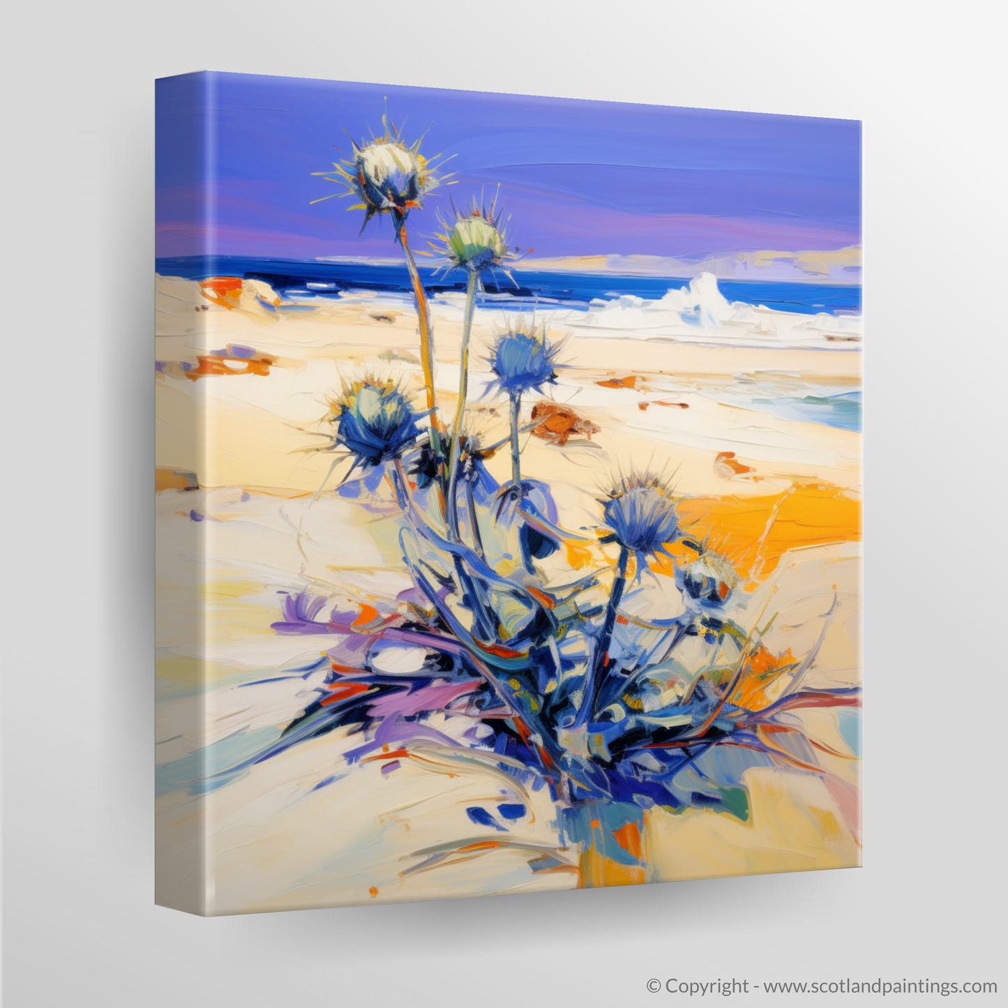 Tiree Sands: An Abstract Ode to Sea Holly